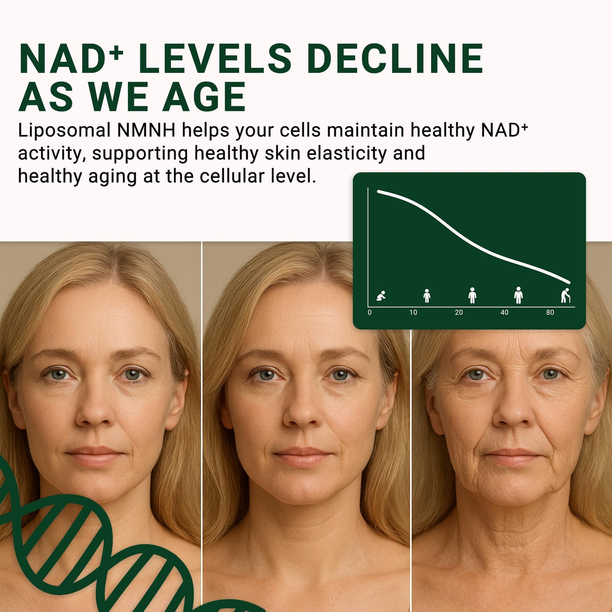 GenuinePurity - NMNH NAD Supplement - 250mg, 30 Count Liposomal NAD+ Supplement for Cellular Health & Energy - GMP Certified Advanced Reduced Form of NMN for Superior Stability & Absorption GenuinePurity uk supplements