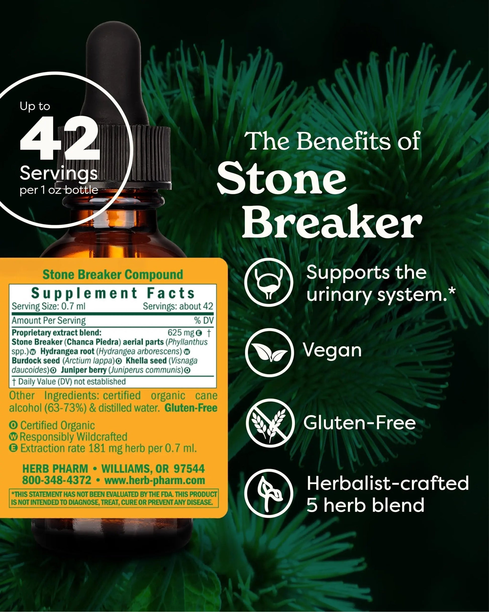 Herb Pharm Stone Breaker (Chanca Piedra) Compound Liquid for Urinary System Support - 1 Fl Oz Herb Pharm uk supplements