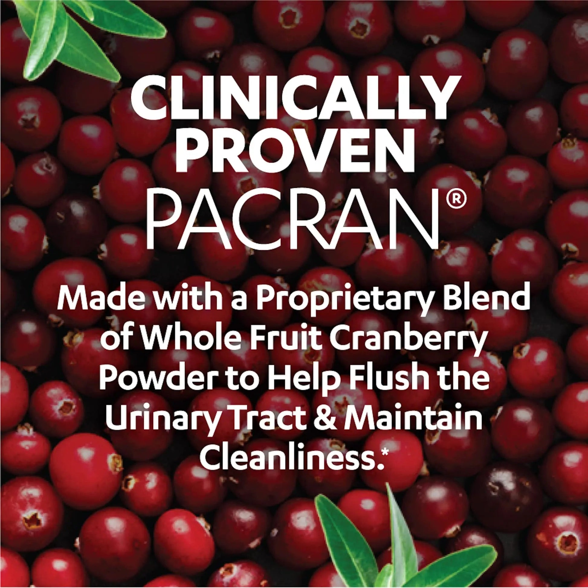 AZO D Mannose Urinary Tract Health, Cleanse, Flush & Protect The Urinary Tract & Cranberry Urinary Tract Health Supplement, 1 Serving = 1 Glass of Cranberry Juice, Sugar AZO uk supplements