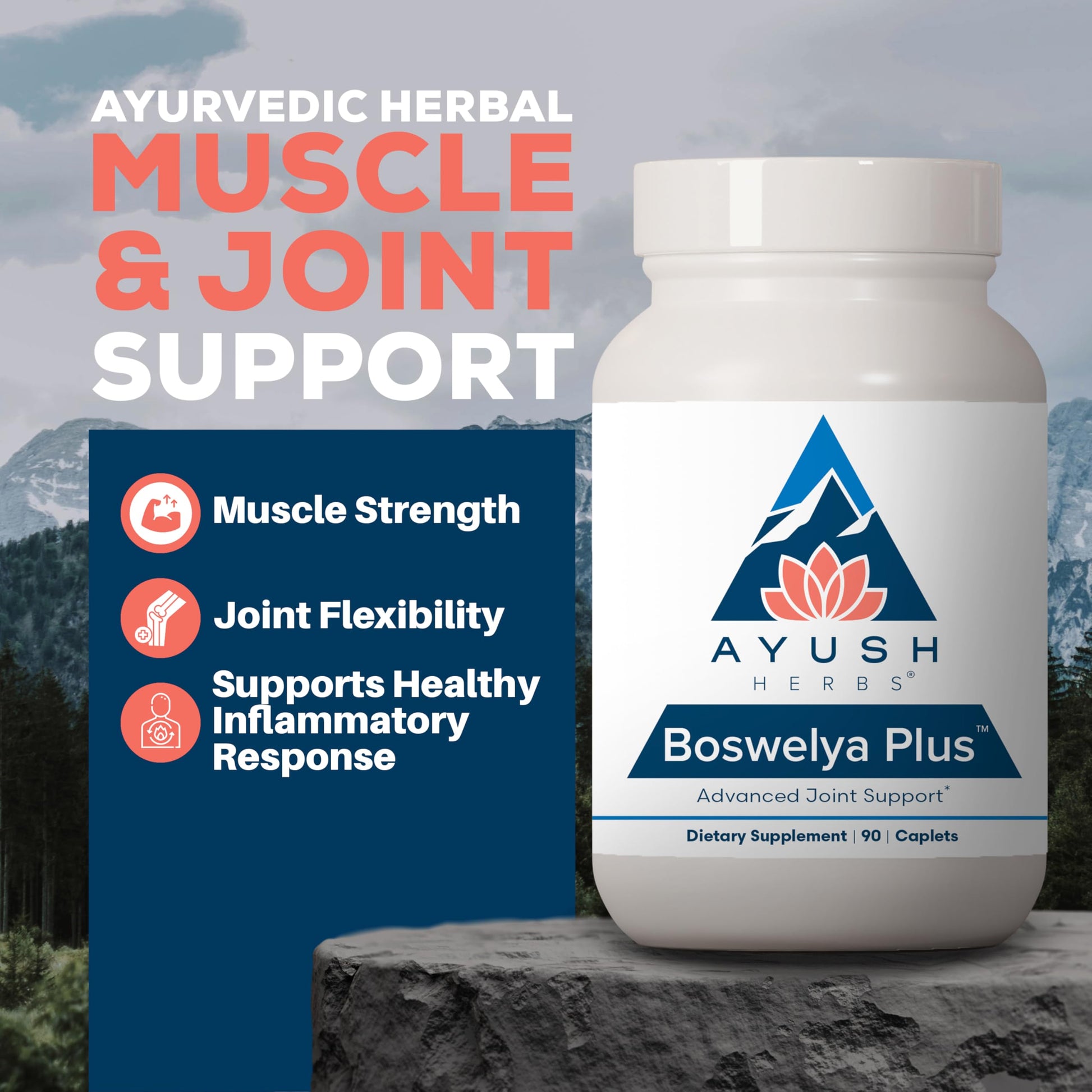 Ayush Herbs Boswelya Plus - Glucosamine Chondroitin Joint Support Supplement, Turmeric Muscle Support for Men & Women, Joint Care with Curcumin - 90 Vegetarian Capsules (1 Count) Ayush Herbs uk supplements