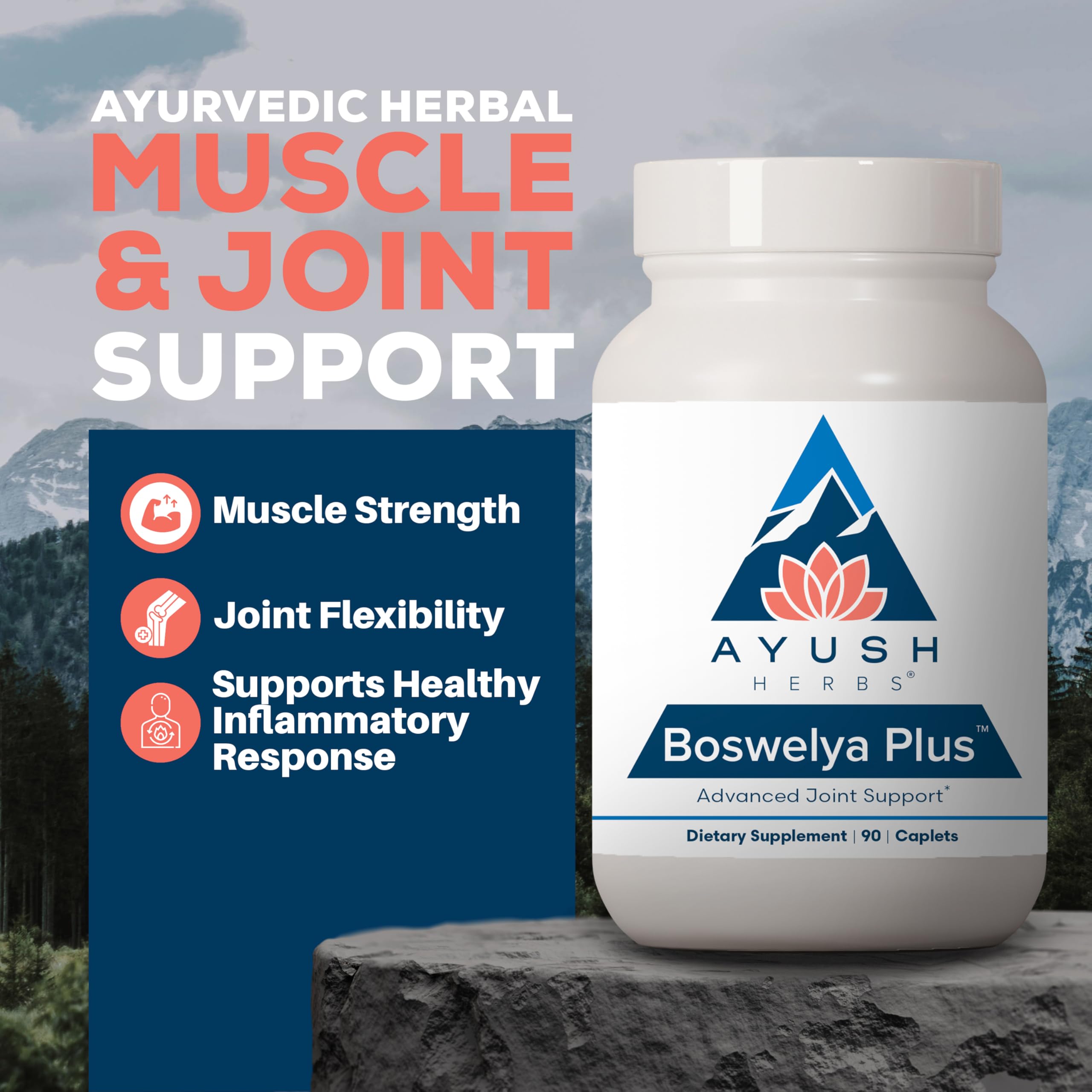 Ayush Herbs Boswelya Plus - Glucosamine Chondroitin Joint Support Supplement, Turmeric Muscle Support for Men & Women, Joint Care with Curcumin - 90 Vegetarian Capsules (1 Count) Ayush Herbs uk supplements