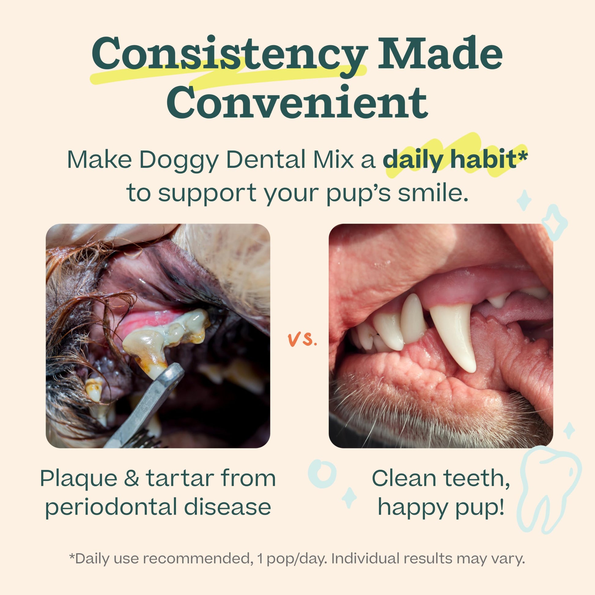 Woof Doggy Dental Pupsicle Mix - Dog Teeth Cleaning Powder for The Pupsicle - Long Lasting Postbiotic Dental Enzyme Mix to Support Oral Health for Dogs WOOF uk supplements