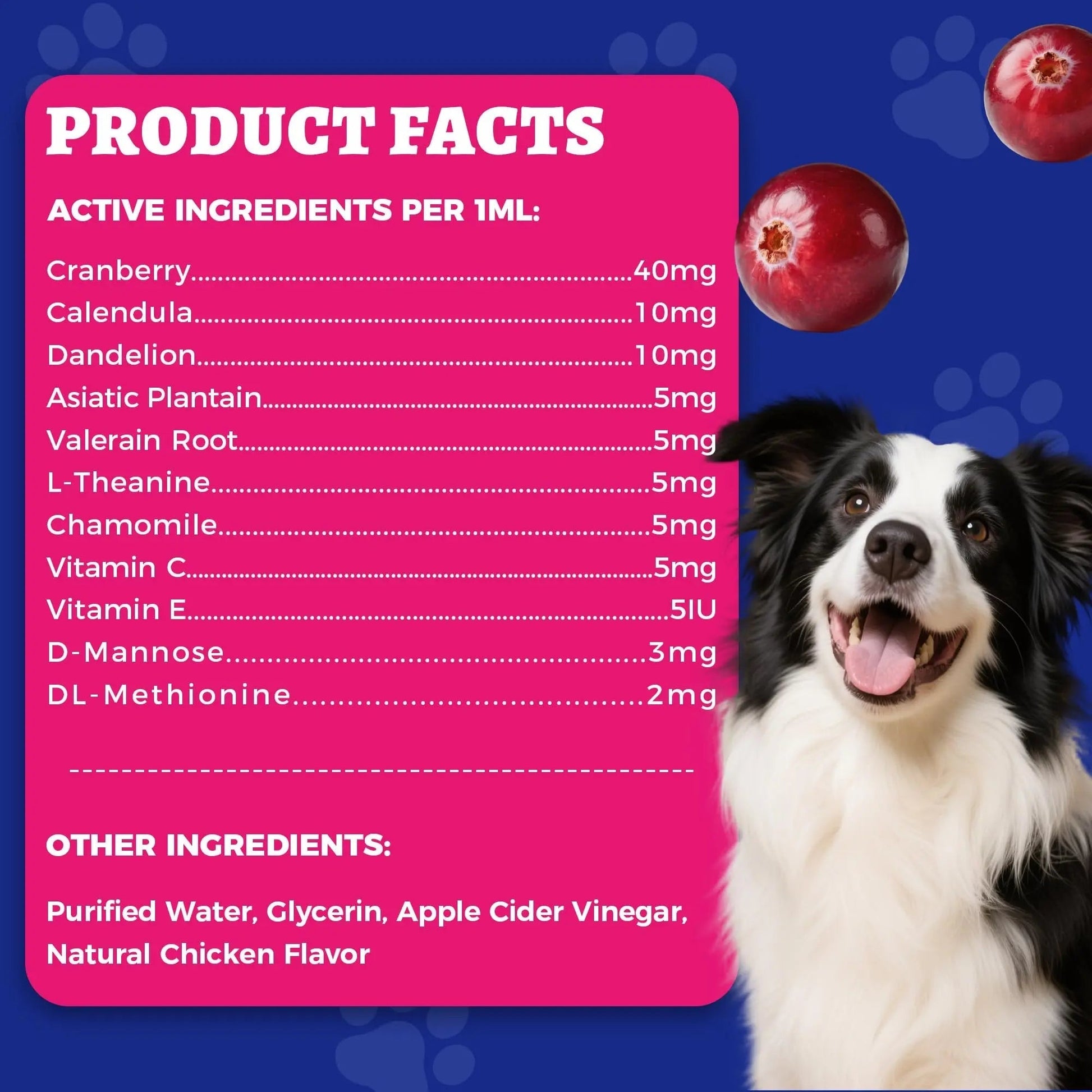 4oz Wellix Natural Cat & Dog UTI Treatment Drops,Cat & Dog Urinary Tract Infection Treatment - Cranberry & D-Mannose for Dogs & Cats - Kidney Health Supplement Wellix uk supplements