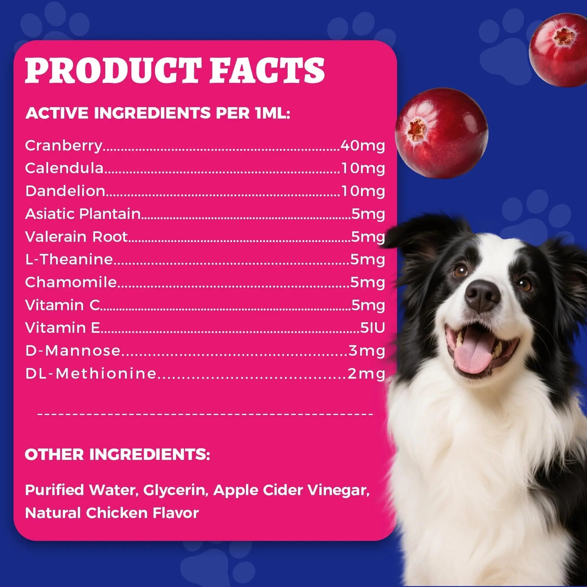 4oz Wellix Natural Cat & Dog UTI Treatment Drops,Cat & Dog Urinary Tract Infection Treatment - Cranberry & D-Mannose for Dogs & Cats - Kidney Health Supplement Wellix uk supplements