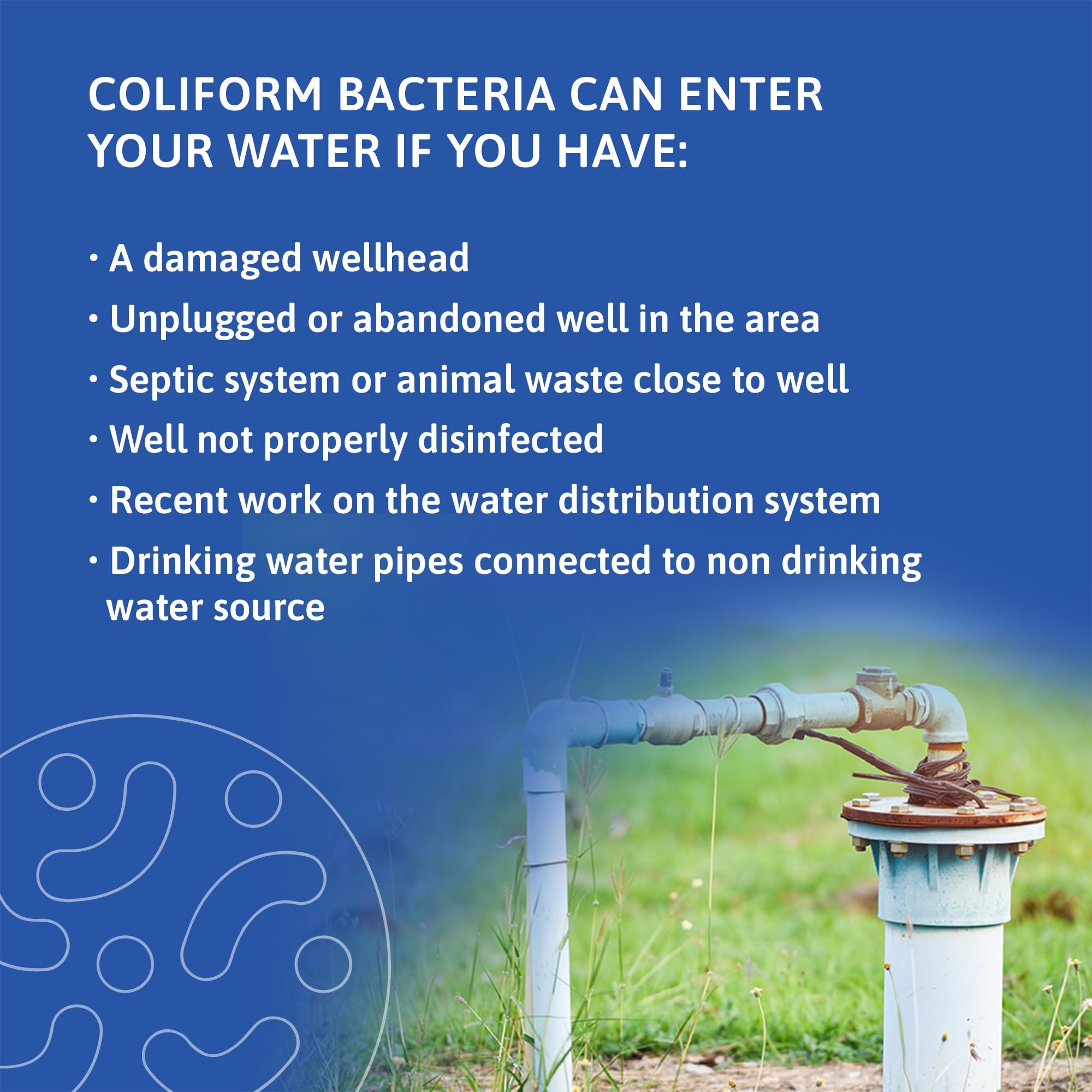 Exploro® Bacteria Water Test Kit, Pond Water Test Kit, Pool Water Testing Kit, Water Testing Kits for Drinking Water for Coliform (E. coli), EPA Approved Pool Test Kit (1 Pack) Exploro uk supplements