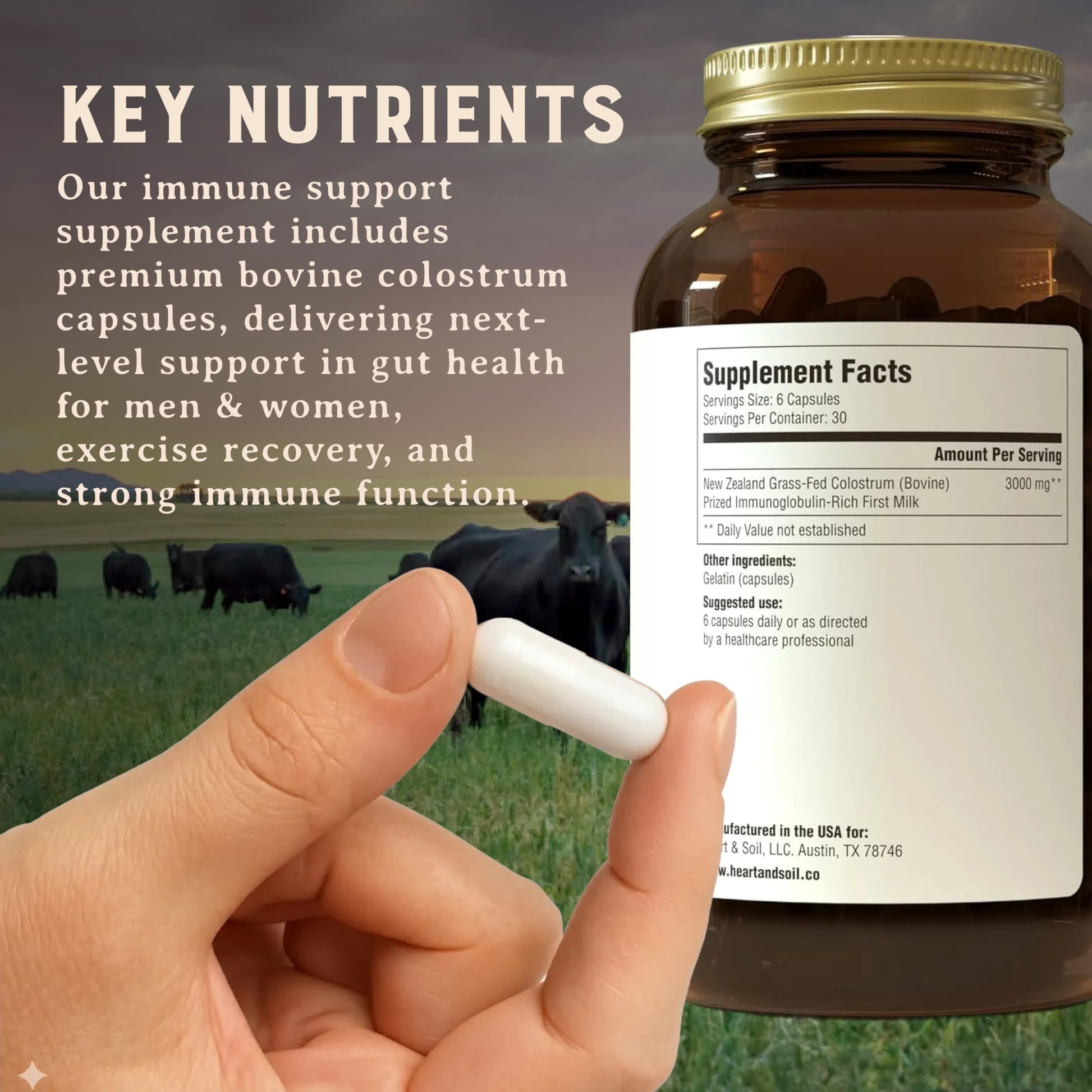 HEART & SOIL 100% Grass Fed & Finished Colostrum Supplement from Regenerative Cattle for Gut, Muscle & Immune Health – 3000mg Bovine Colostrum Capsules - Gut Health for Men & Women –180 Capsules HEART & SOIL uk supplements