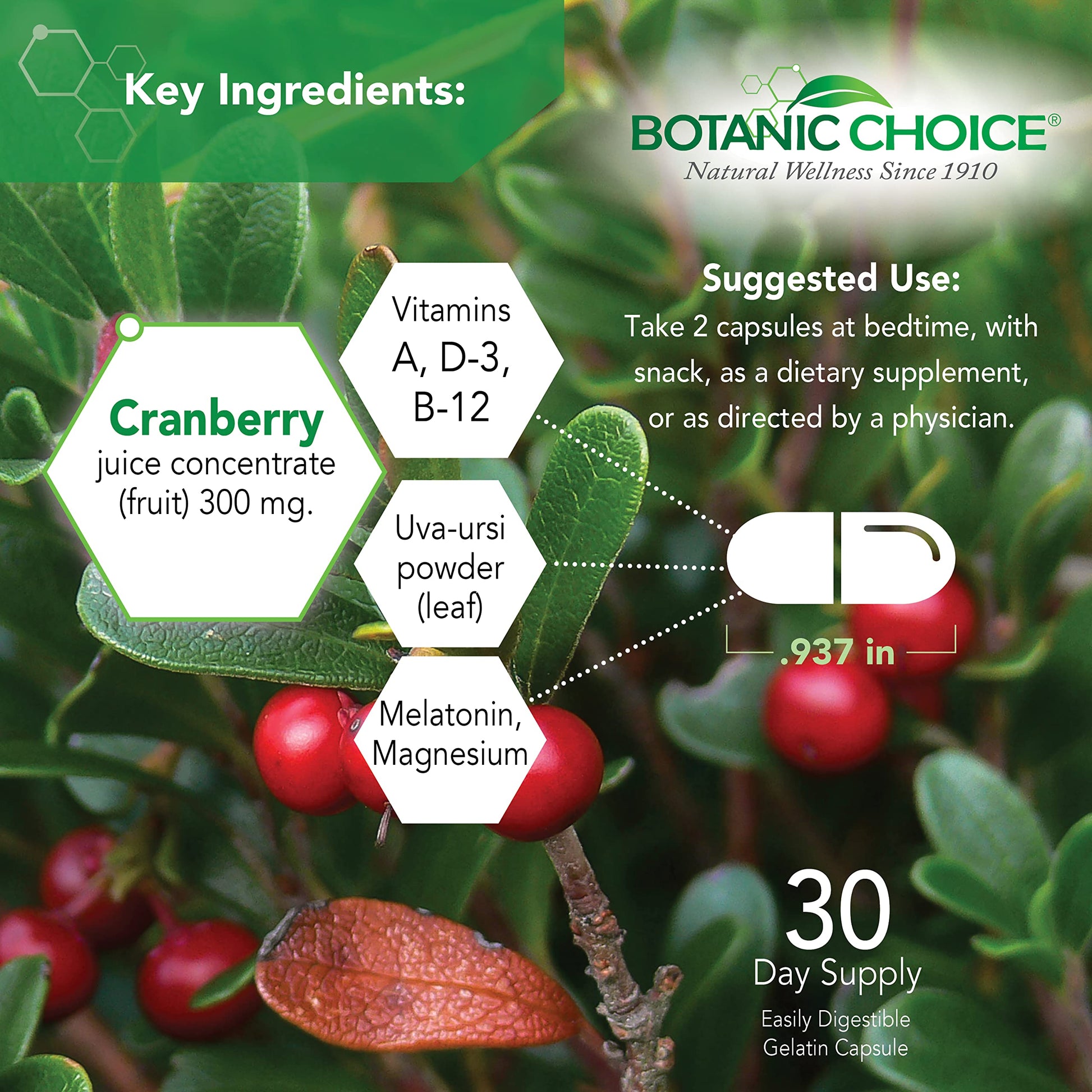 Botanic Choice Pro-Advanced Urinary Formula-Blend for Urinary Tract Health Support - Magnesium Cranberry Uva Ursi Damiana - 60 Capsules Botanic Choice uk supplements
