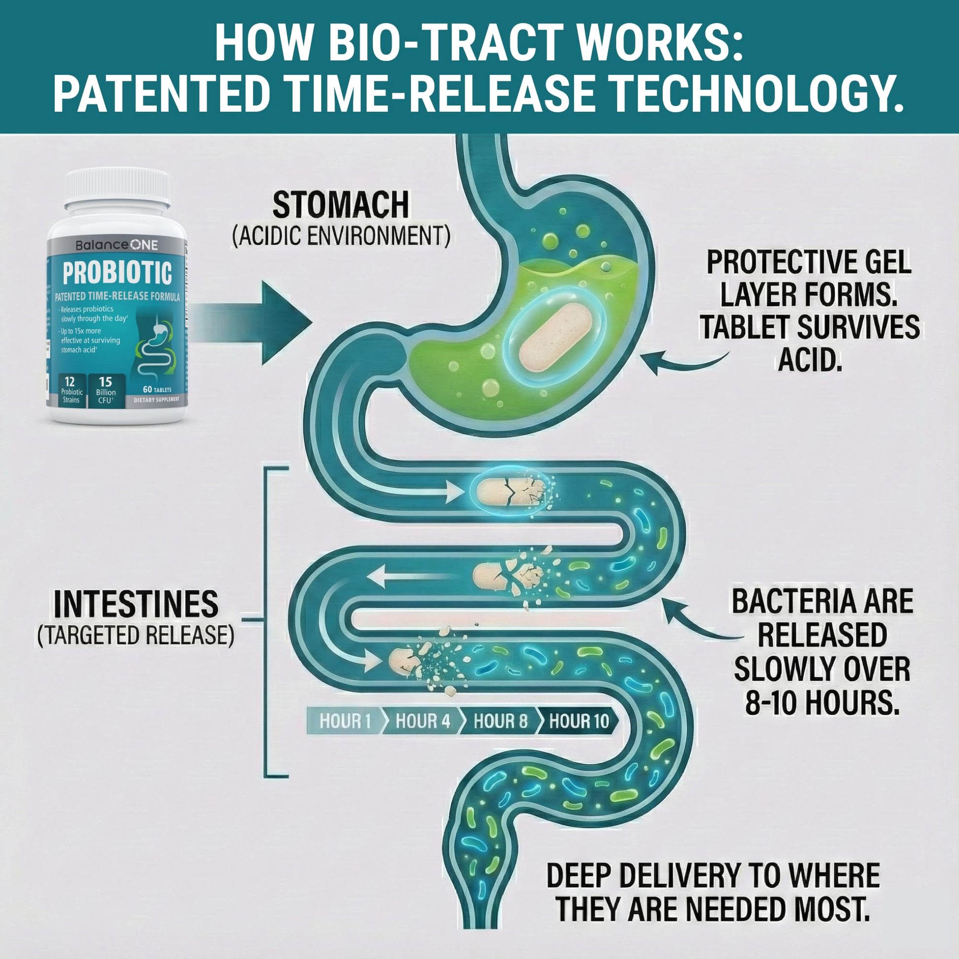 Balance ONE Time Release Probiotic – 15 Billion CFU – 12 Strains Including L. Plantarum – 15x More Survival Than Capsules – Bloating & Gas Relief – Gut & Digestive Health for Women & Men – 60 Tablets Balance ONE uk supplements