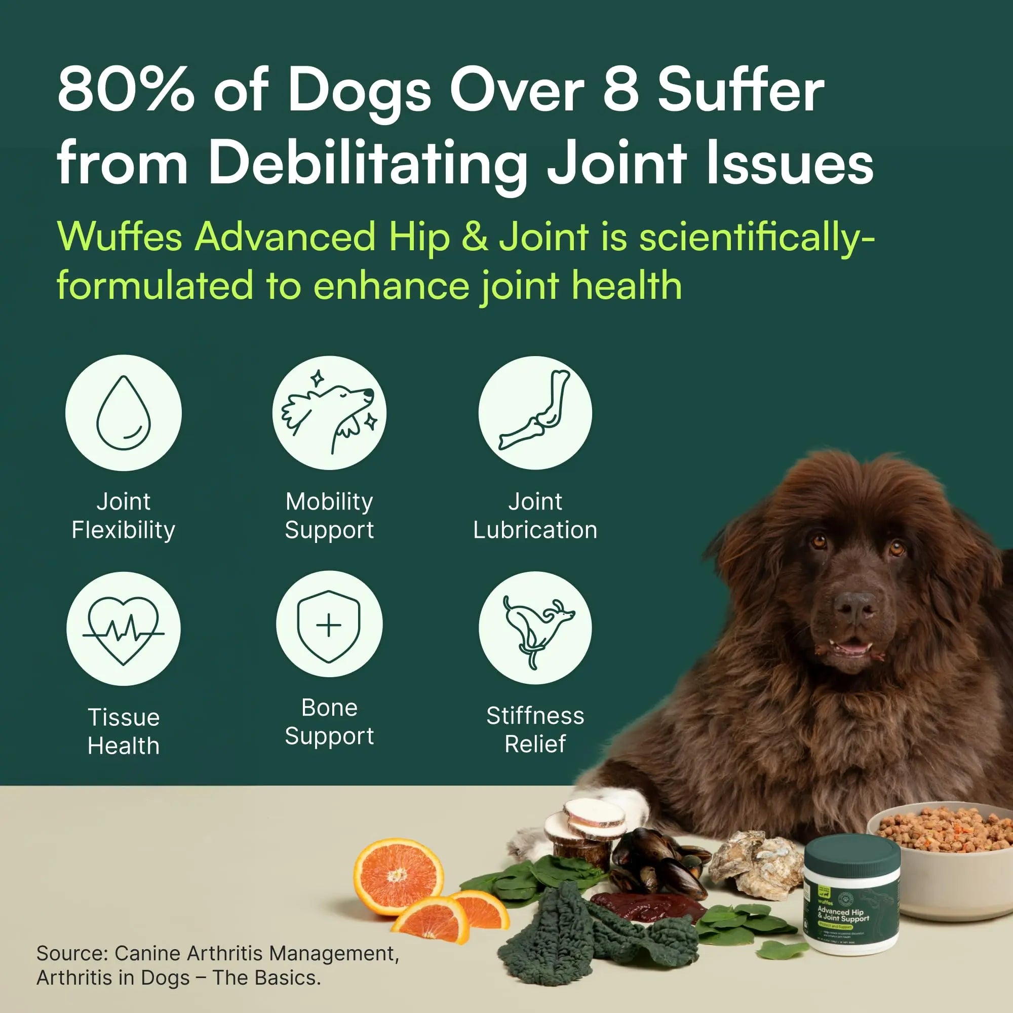 Wuffes Chewable Dog Hip & Joint Supplement - Glucosamine & Chondroitin Chews - Dog Joint Supplements & Vitamins - Extended Joint Care (Large Breed (Over 65 lbs), 60 Chews (Pack of 2)) Wuffes uk supplements