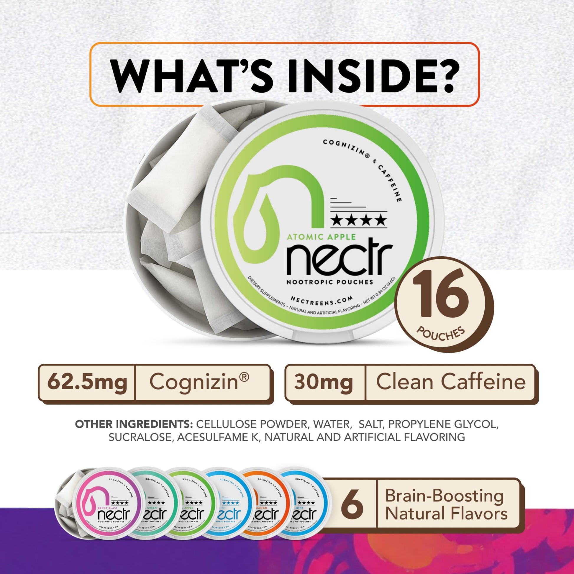 Nectr Energy Nootropic Pouches – Berry Blast Flavored, Caffeine Pouches with Cognizin® Citicoline. Sugar-Free Brain Treats. Smooth, Sustained Focus & Energy Supplement - 1 Puck of 16pcs Nectr uk supplements