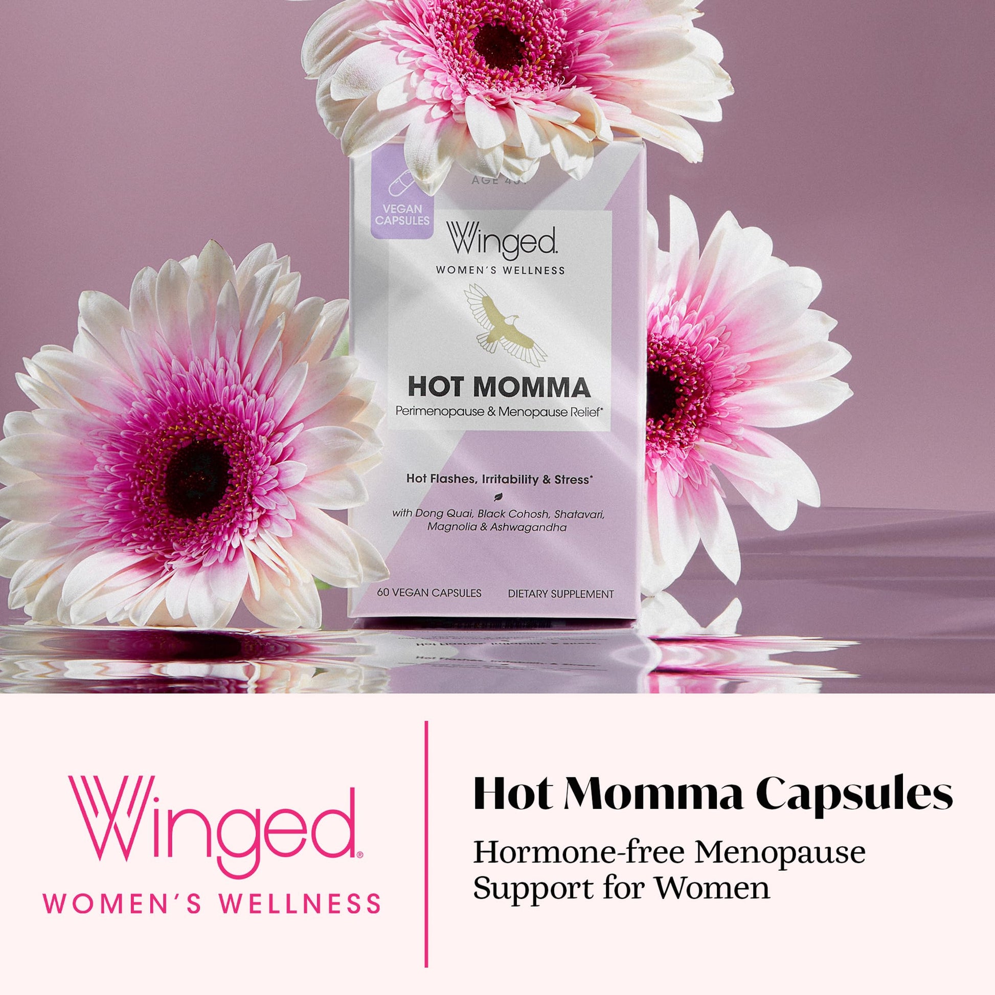 Winged Wellness Hot Momma Menopause Supplements for Women - Hormone-Free Menopause Relief Support for Hot Flashes & Night Sweats with Chaste Tree Berry, Multivitamins & Shatavari - 60 Vegan Capsules Winged Wellness uk supplements