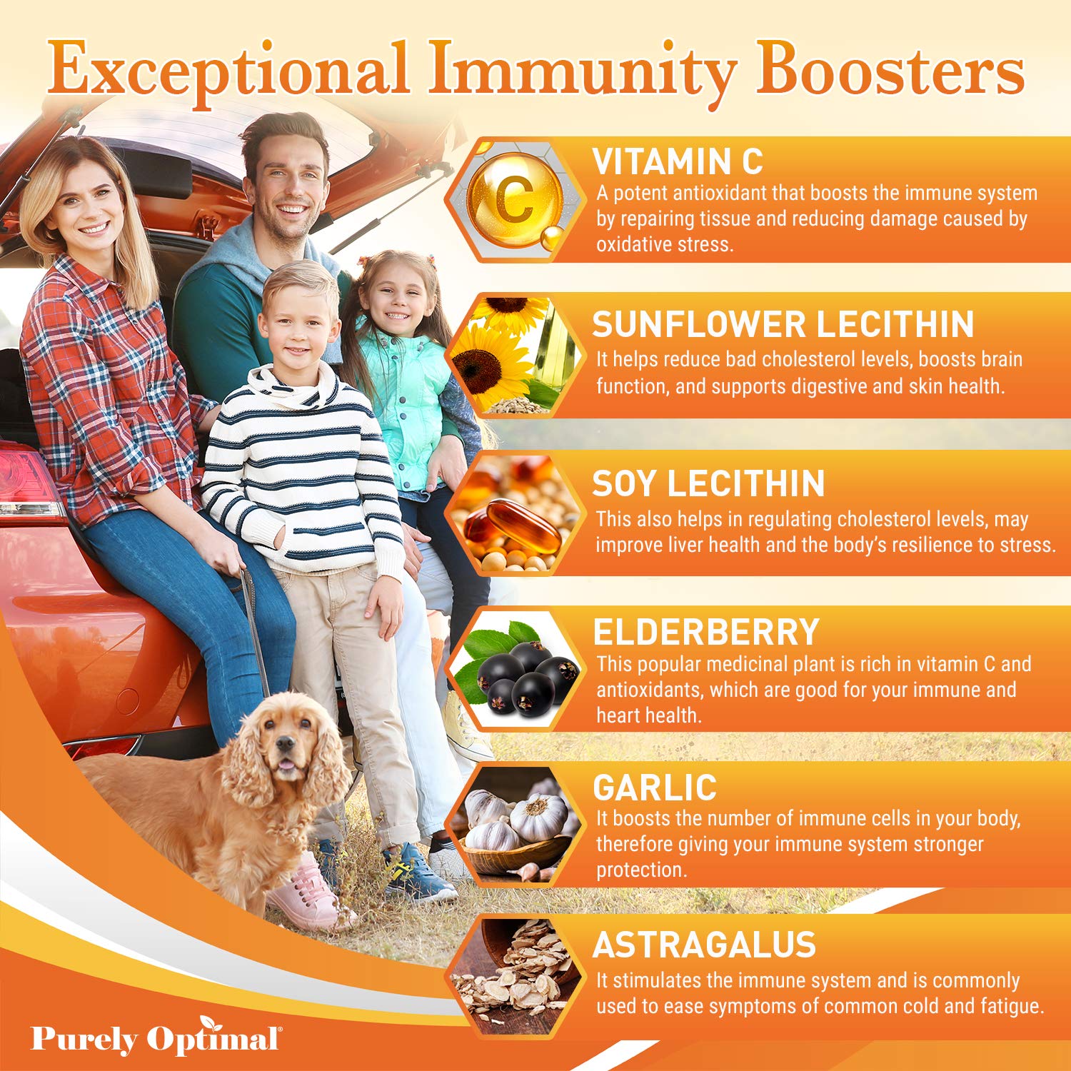 Premium Liposomal Vitamin C Supplement - High Absorption, Fat Soluble Ascorbic Acid Purely Optimal uk supplements