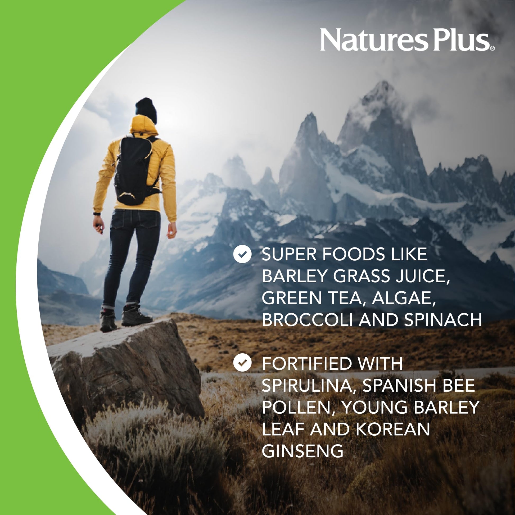 NaturesPlus FRUITEIN Revitalizing Green Foods Shake - 1.3 lbs - Plant-Based Protein (13g/Serving) - Supports Energy & Immune System - Vegetarian, Gluten Free & Non-GMO - 16 Servings NaturesPlus uk supplements