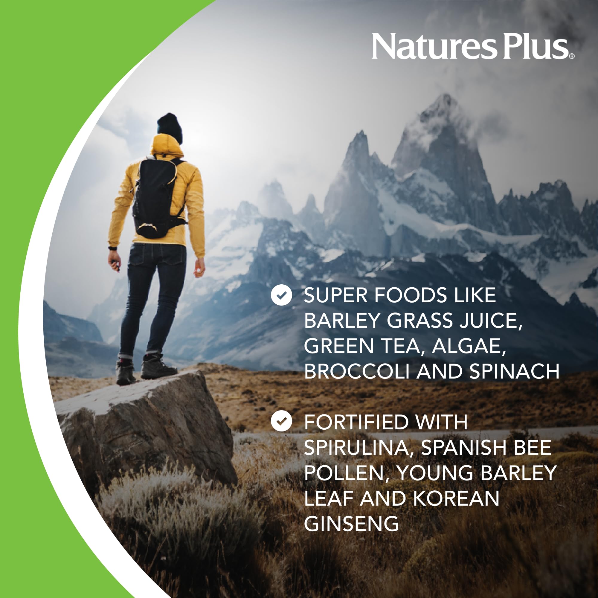 NaturesPlus FRUITEIN Revitalizing Green Foods Shake - 1.3 lbs - Plant-Based Protein (13g/Serving) - Supports Energy & Immune System - Vegetarian, Gluten Free & Non-GMO - 16 Servings NaturesPlus uk supplements
