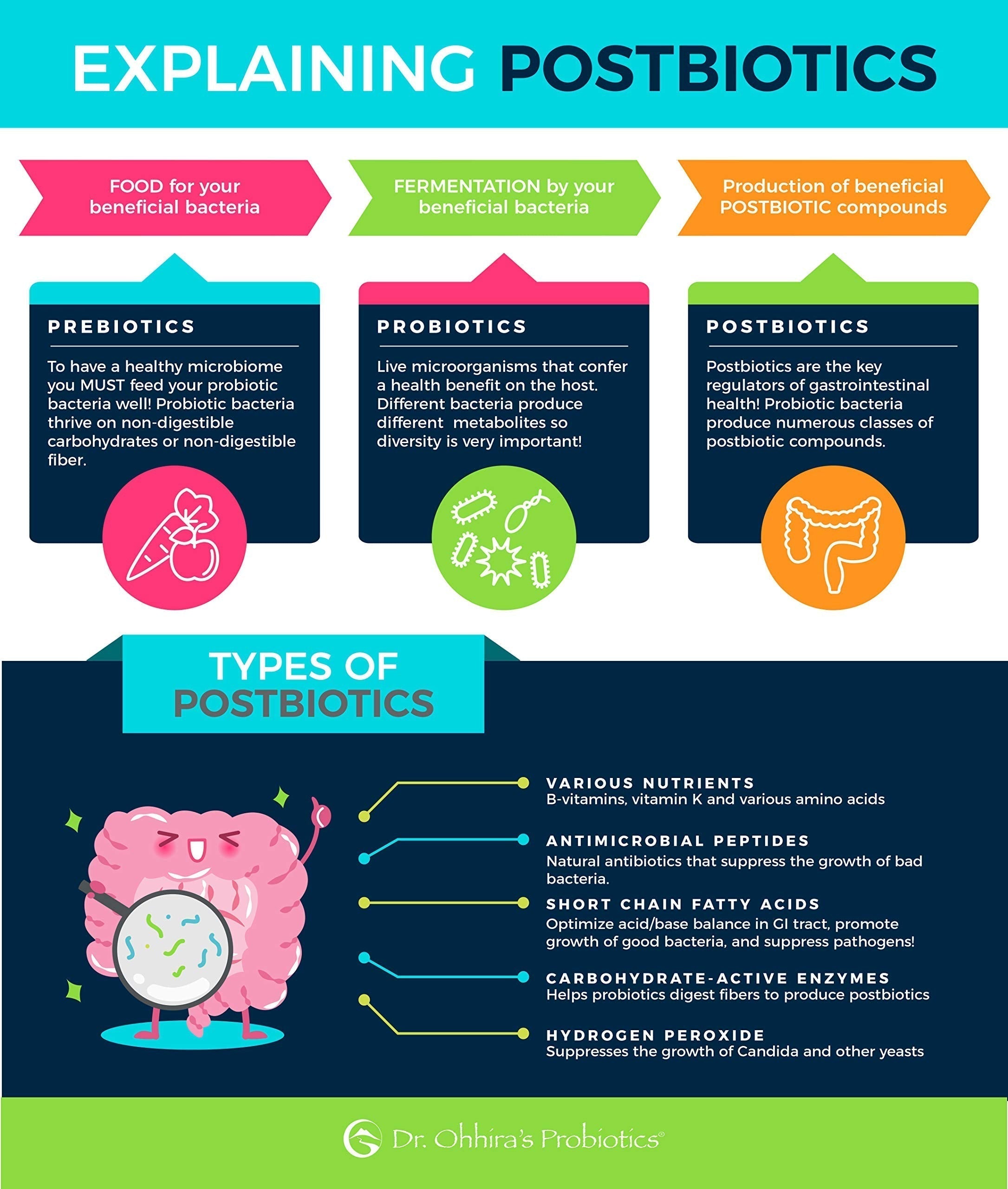 Essential Formulas Dr. Ohhira’s Probiotics Professional Formula with 5 Year Fermented Prebiotics, Live Active Probiotics and The only Product with Postbiotic Metabolites, 60 Capsules Essential Formulas uk supplements