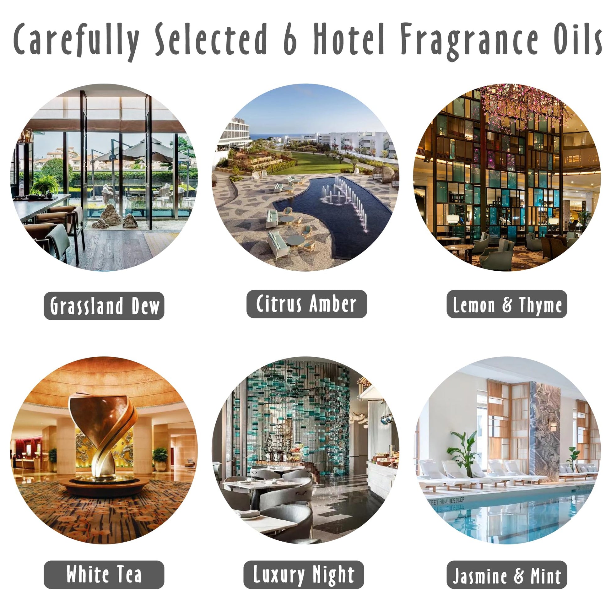 Fragrance Oils, MitFlor Hotel Collection Diffuser Oil for Home, Soap & Candle Making Scents MitFlor uk supplements