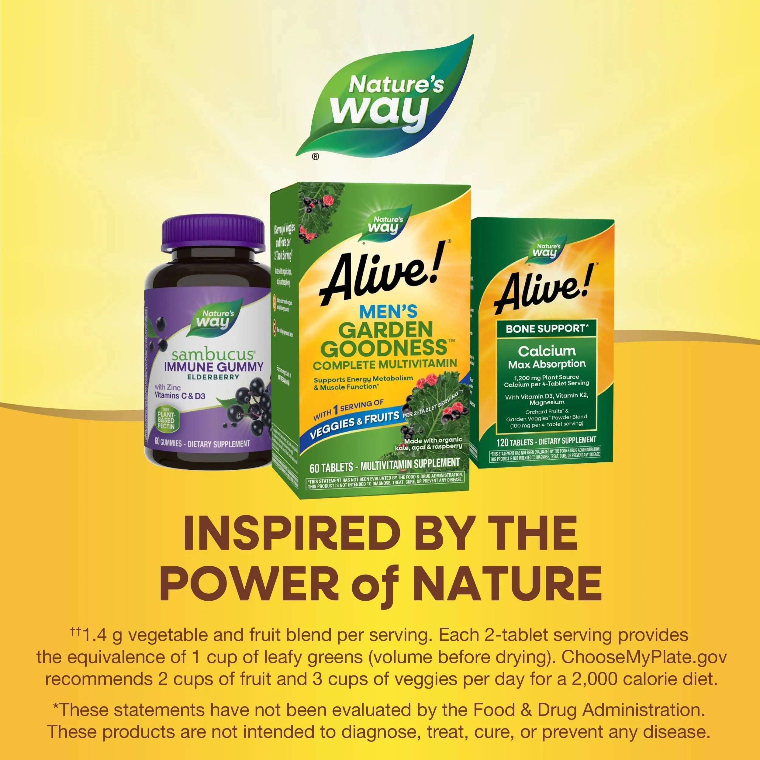 Nature's Way Alive! Garden Goodness Men's Multivitamin, Veggie & Fruit Blend (1400mg per serving), Made with Organic Kale, 60 Count Nature's Way uk supplements