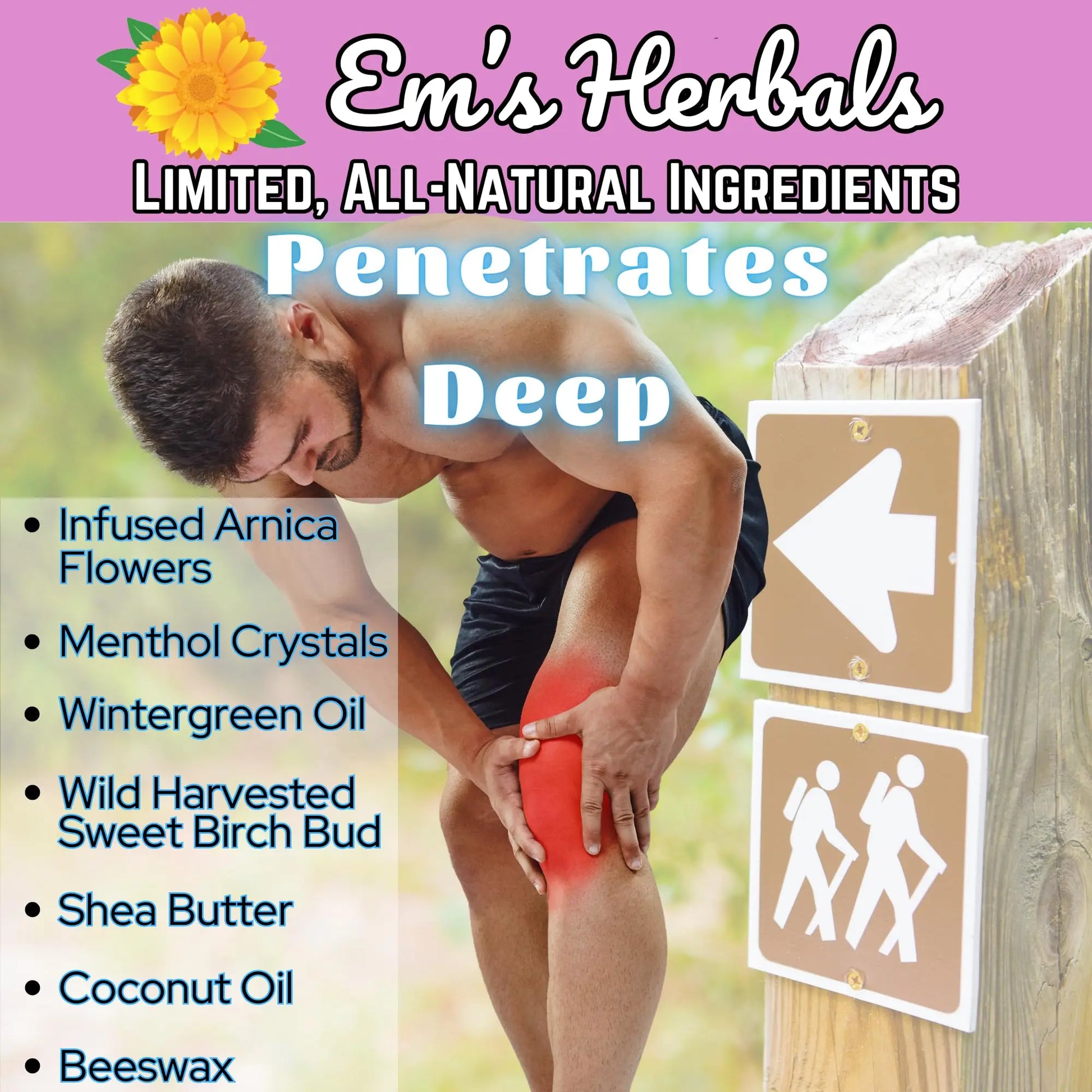Em's Herbals, Muscle & Joint Care Arnica Salve - Amplified Arnica Salve Made with Menthol Crystals, and Effective Essential Oils to Penetrate Deep into Muscles, Joints, and Back Discomfort (2 oz) Em's Herbals uk supplements