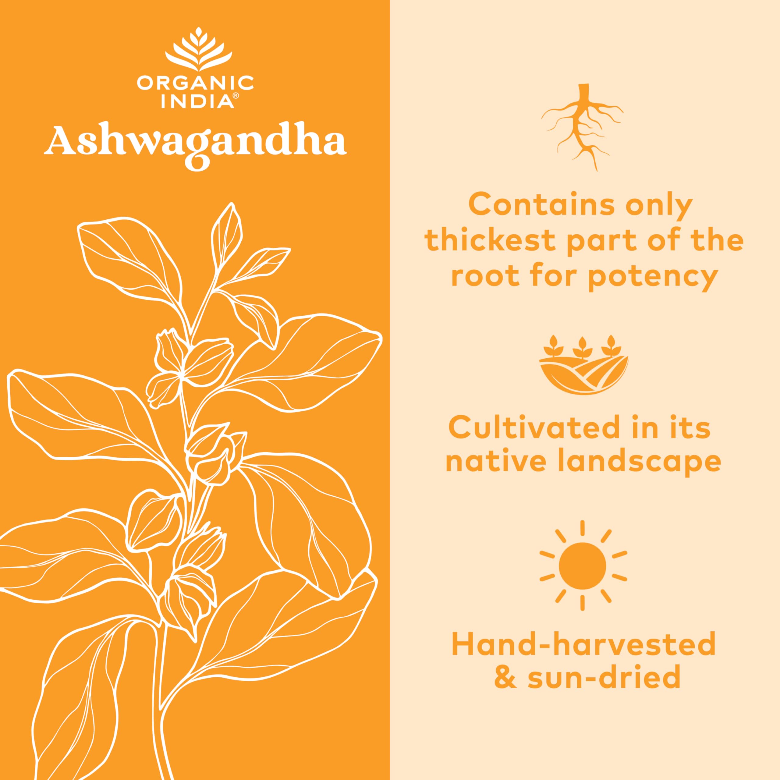 Organic India Ashwagandha Herbal Supplement - Stress Response Support, Vegan, Gluten Organic India uk supplements