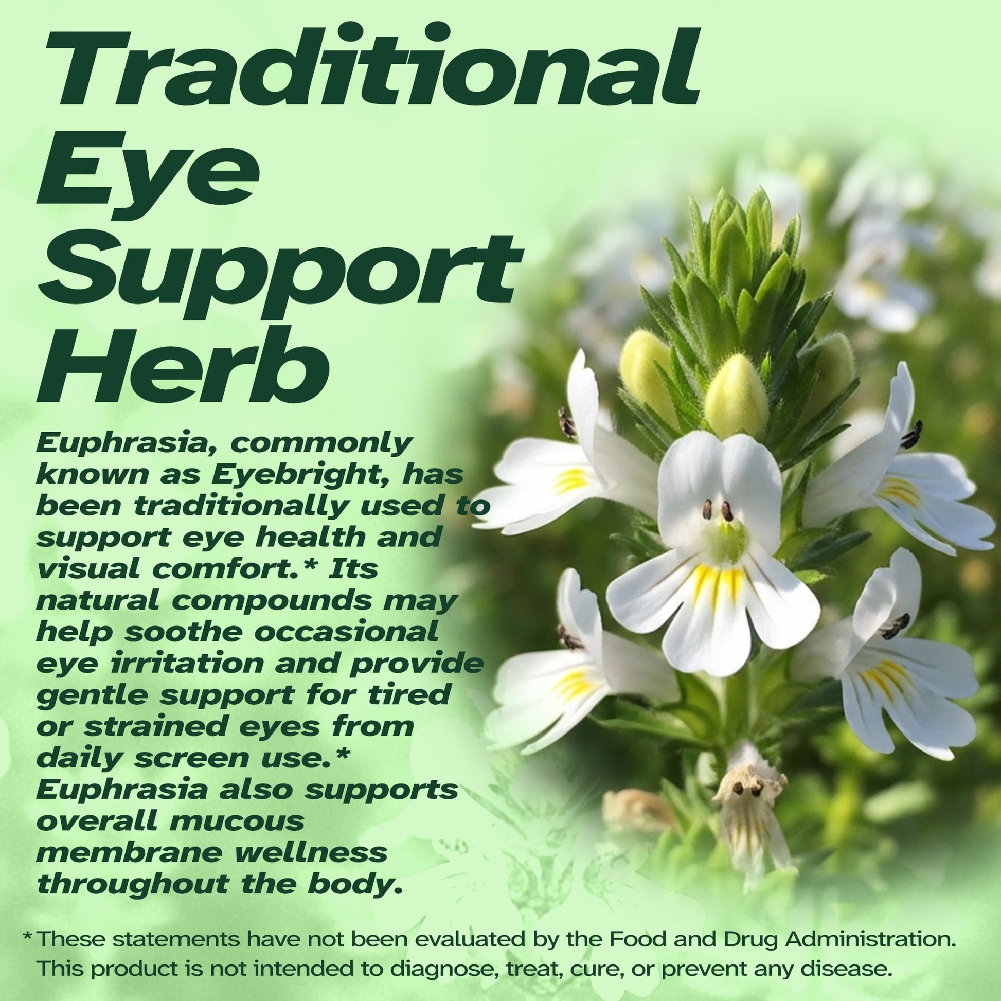 Vitalumina Eyebright Herbal Liquid with Organic Euphrasia, Lutein, Bilberry, Blueberry & Goji – Plant-Based Vegan Supplement for Adults – 4 fl oz Vitalumina uk supplements