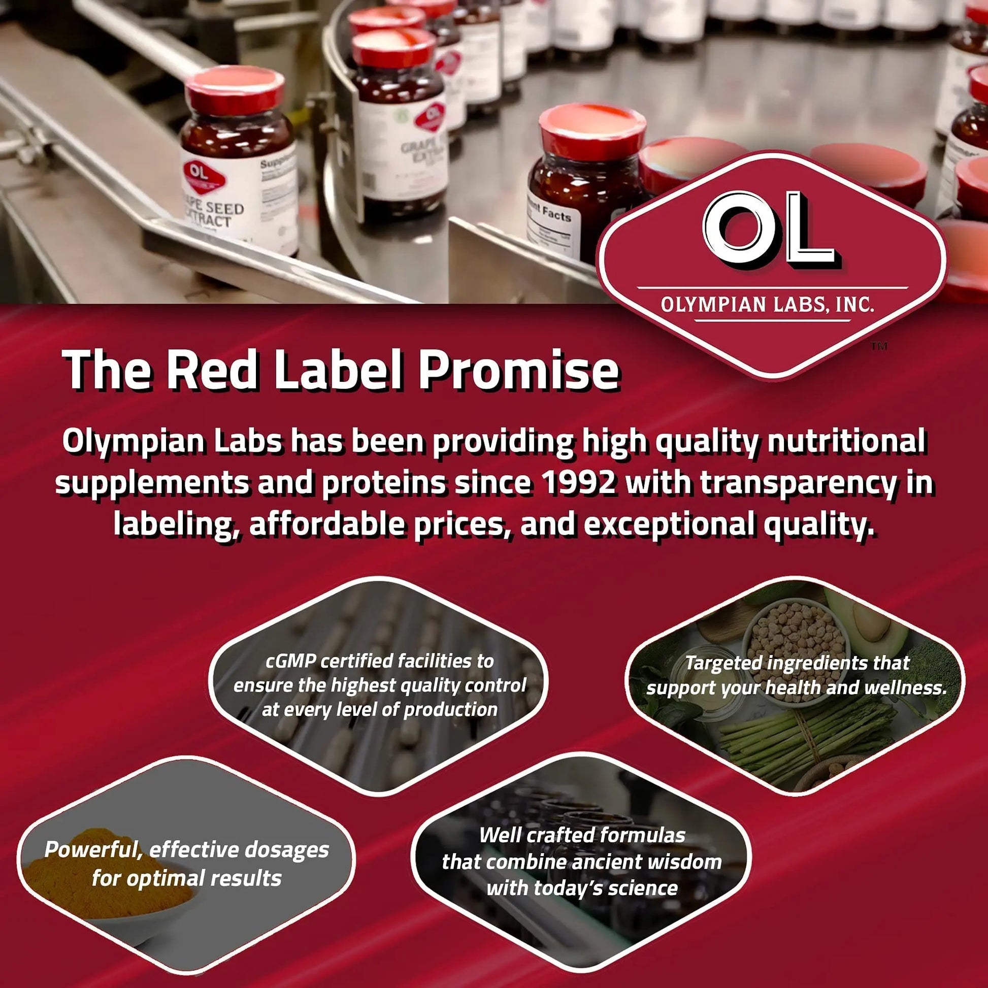 Olympian Labs Complete Prebiotic and Probiotic Supplement - 25 Billion Live Shelf Stable Cultures - 30 Vegetarian Capsules Olympian Labs uk supplements