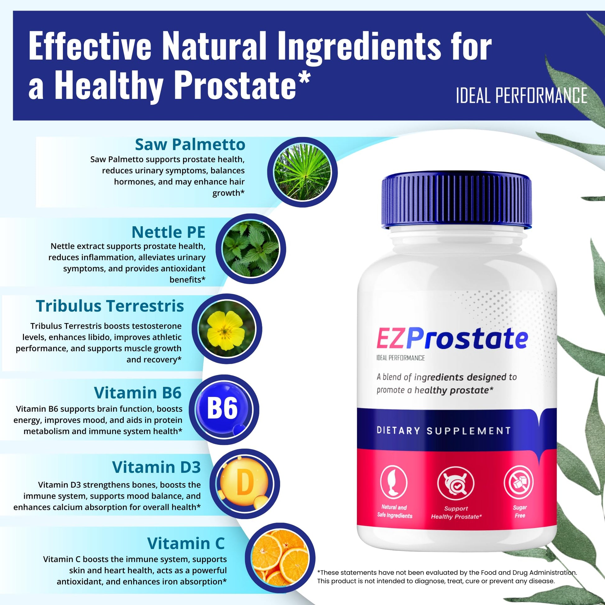 EZ Prostate Capsules, EZ Prostate Pills - Official EZ Prostate Supplement Pills - Maximum Strength Advanced All Natural Formula, EZProstate Health Men Pastillas Reviews (2 Pack) IDEAL PERFORMANCE uk supplements