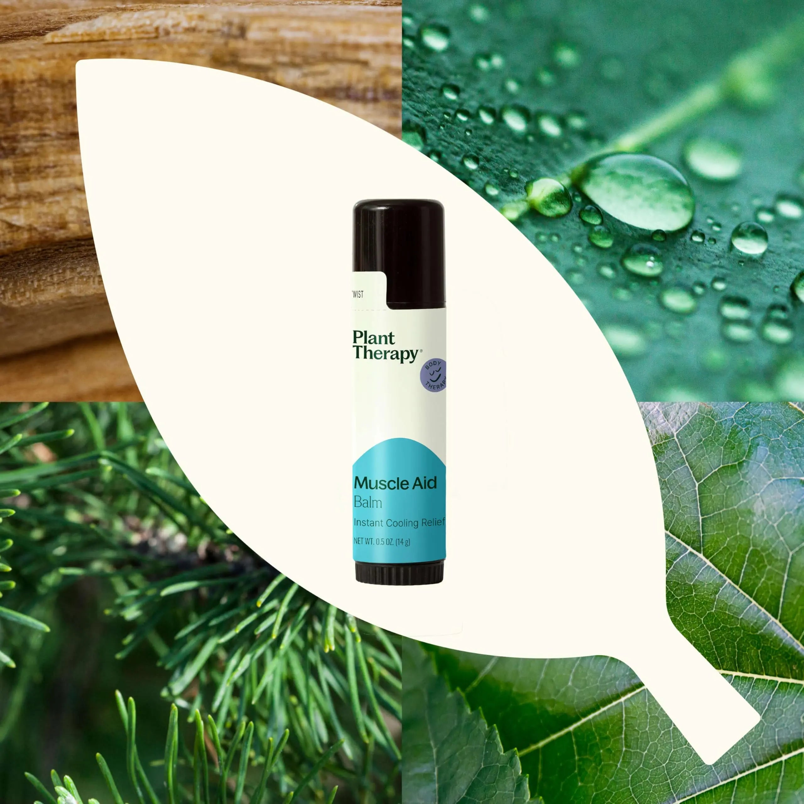 Plant Therapy Muscle Aid Balm .5 oz Soft & Creamy Balm, Cooling Relief, Natural Ingredients Plant Therapy uk supplements