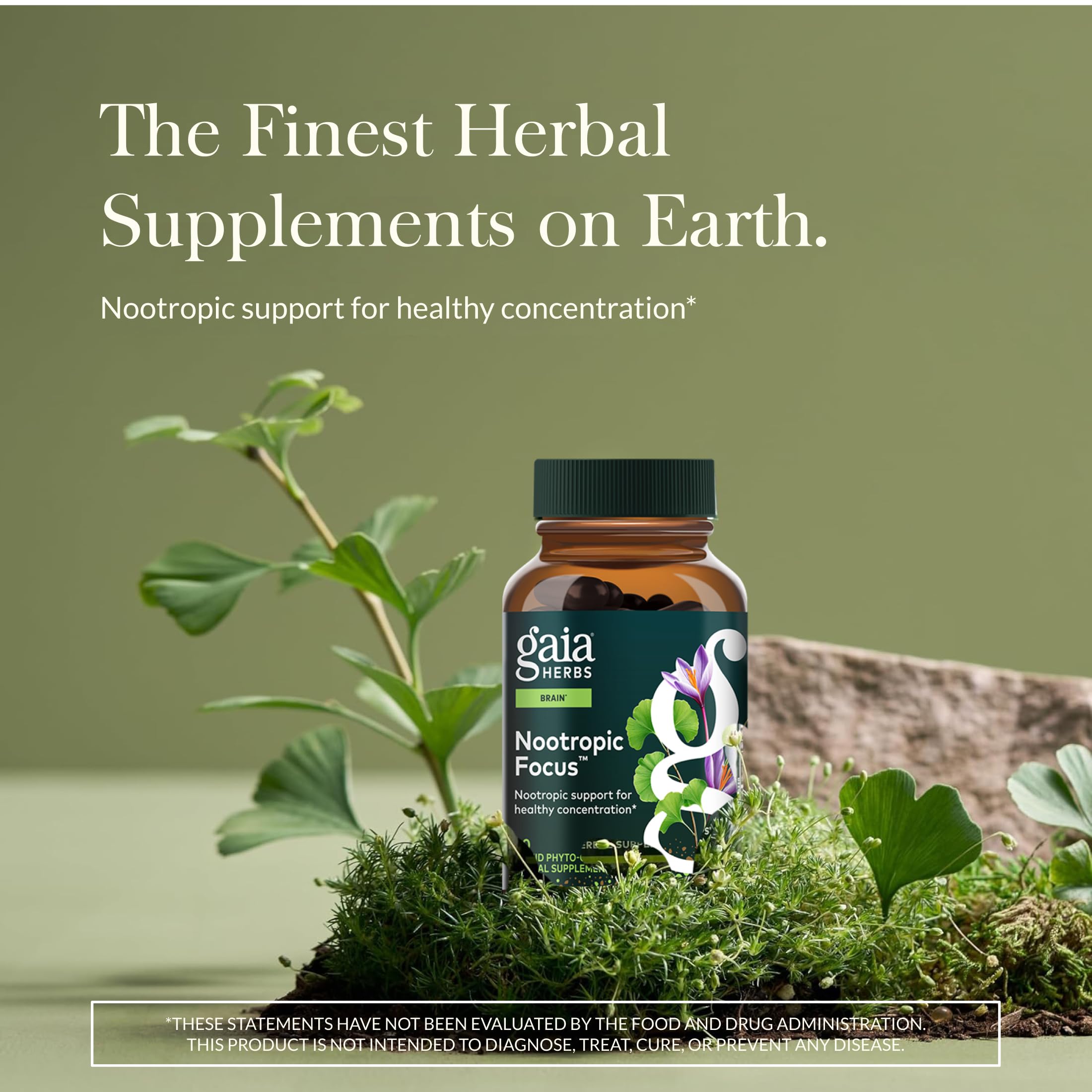 Gaia Herbs Nootropic Focus - Brain & Cognitive Support Supplement to Help Maintain Healthy Concentration* - with Saffron, Lemon Balm & Spearmint - 40 Liquid Phyto-Capsules (20 Servings) Gaia Herbs uk supplements