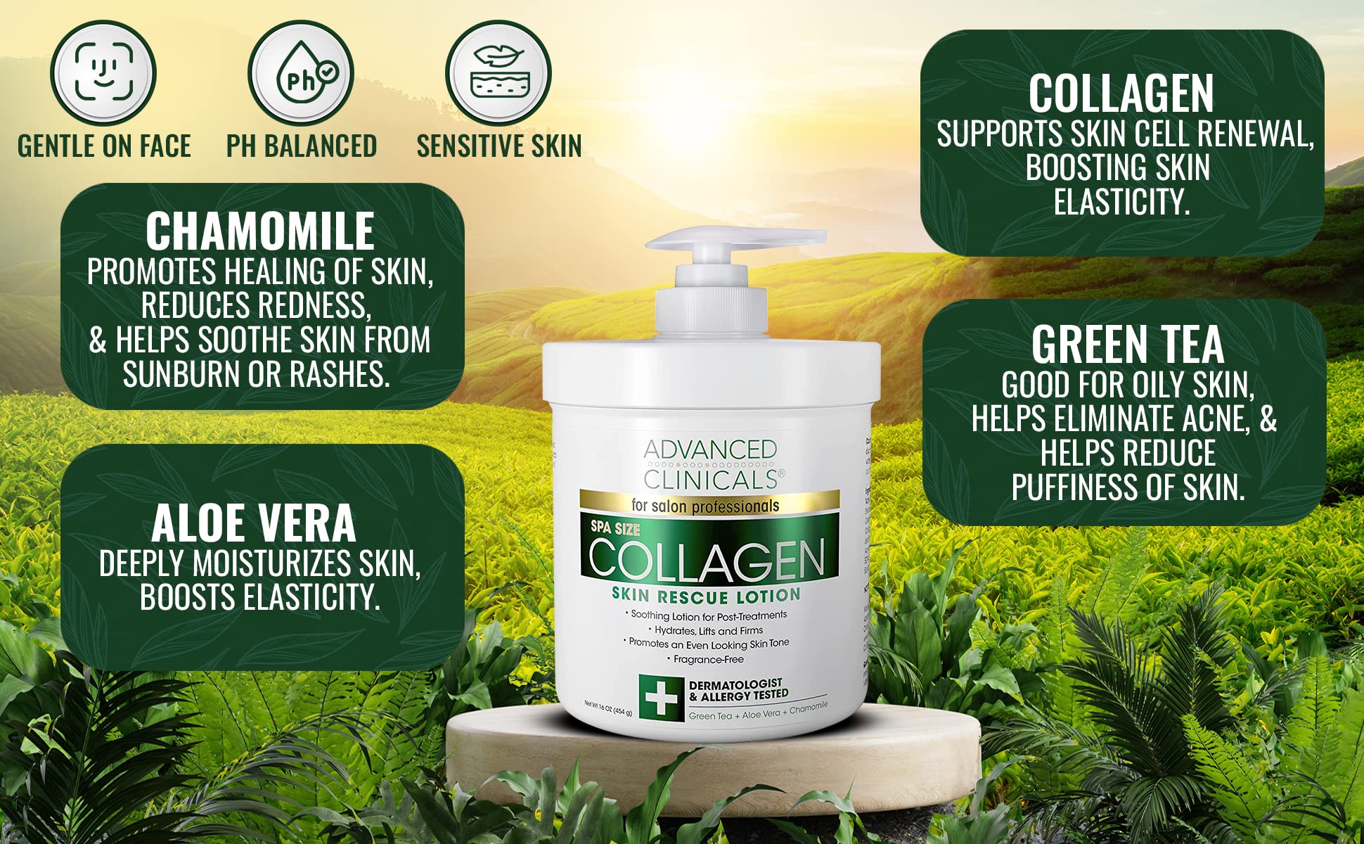 Advanced Clinicals Retinol Body Lotion + Collagen Cream 2pc Body Skin Care Set Advanced Clinicals uk supplements