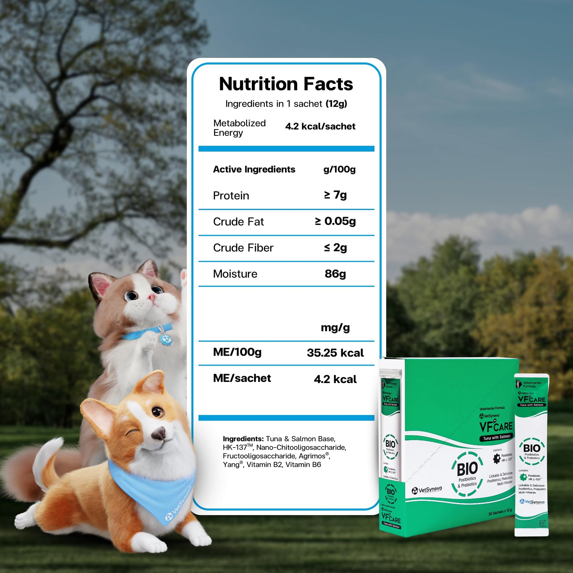VFcare BIO Supplement for Cats & Dogs – Anti Diarrhea for Dogs, Gut Health Paste with Postbiotics, Prebiotics, FOS, L-137, Yeast Extract – Anti Diarrhea for Dogs, 30 Sachets VFCARE uk supplements