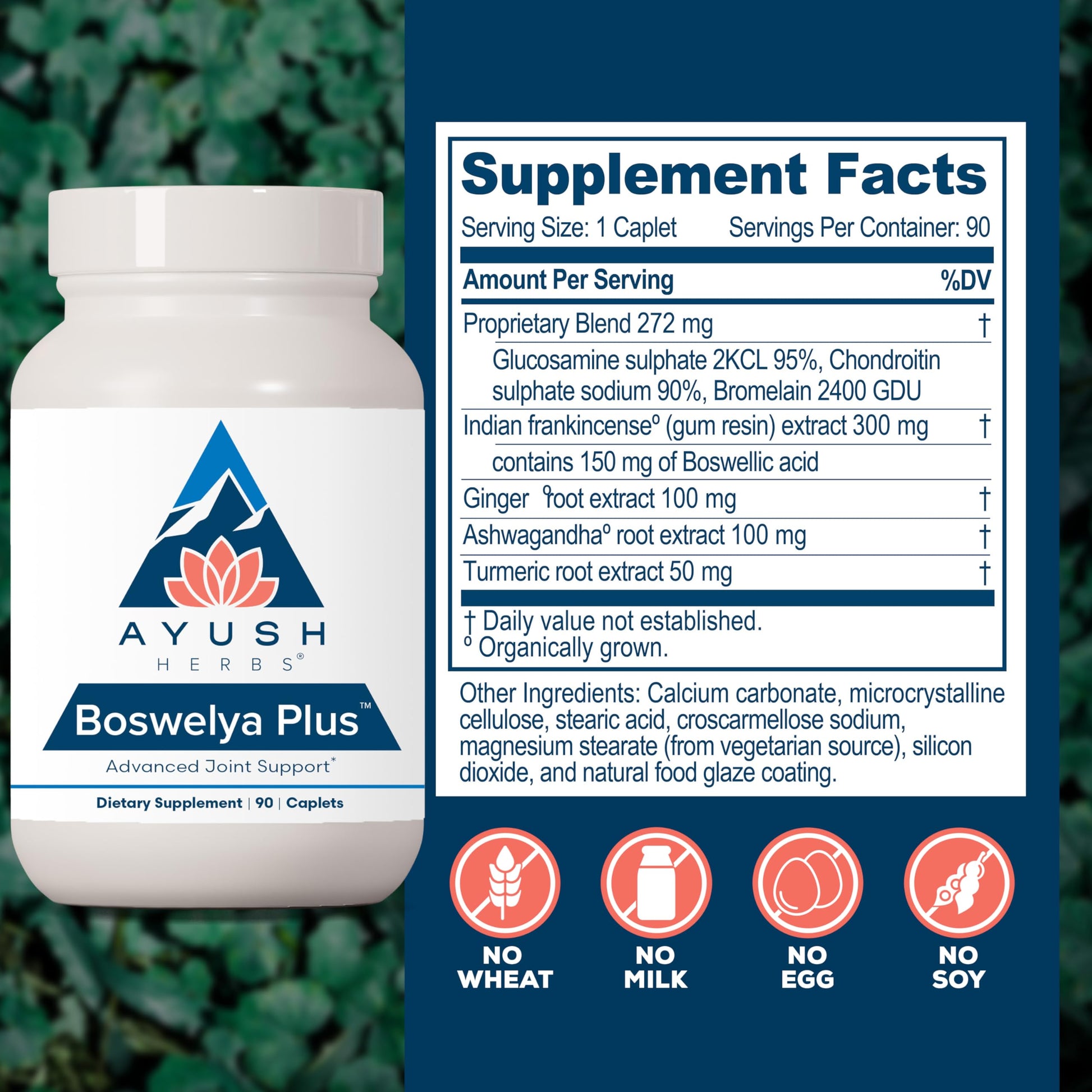Ayush Herbs Boswelya Plus - Glucosamine Chondroitin Joint Support Supplement, Turmeric Muscle Support for Men & Women, Joint Care with Curcumin - 90 Vegetarian Capsules (1 Count) Ayush Herbs uk supplements