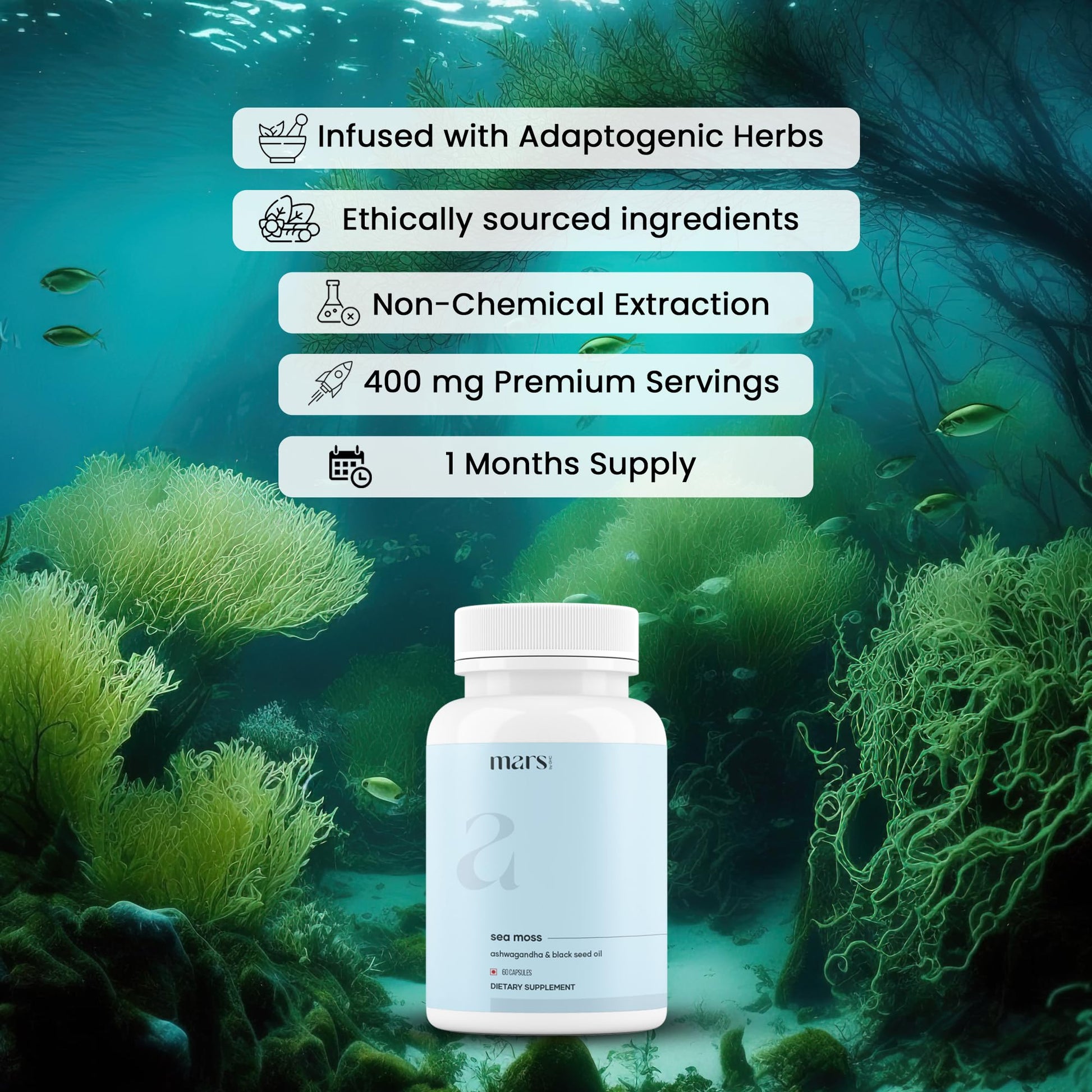 Mars Sea Moss Caps Surge Natural (60N) | Packed with 84 Essential Minerals | Powered with Black Seed Oil, Surgemax & Vitamin D3 | Overall Well-Being - Pack of 3 mars by GHC uk supplements