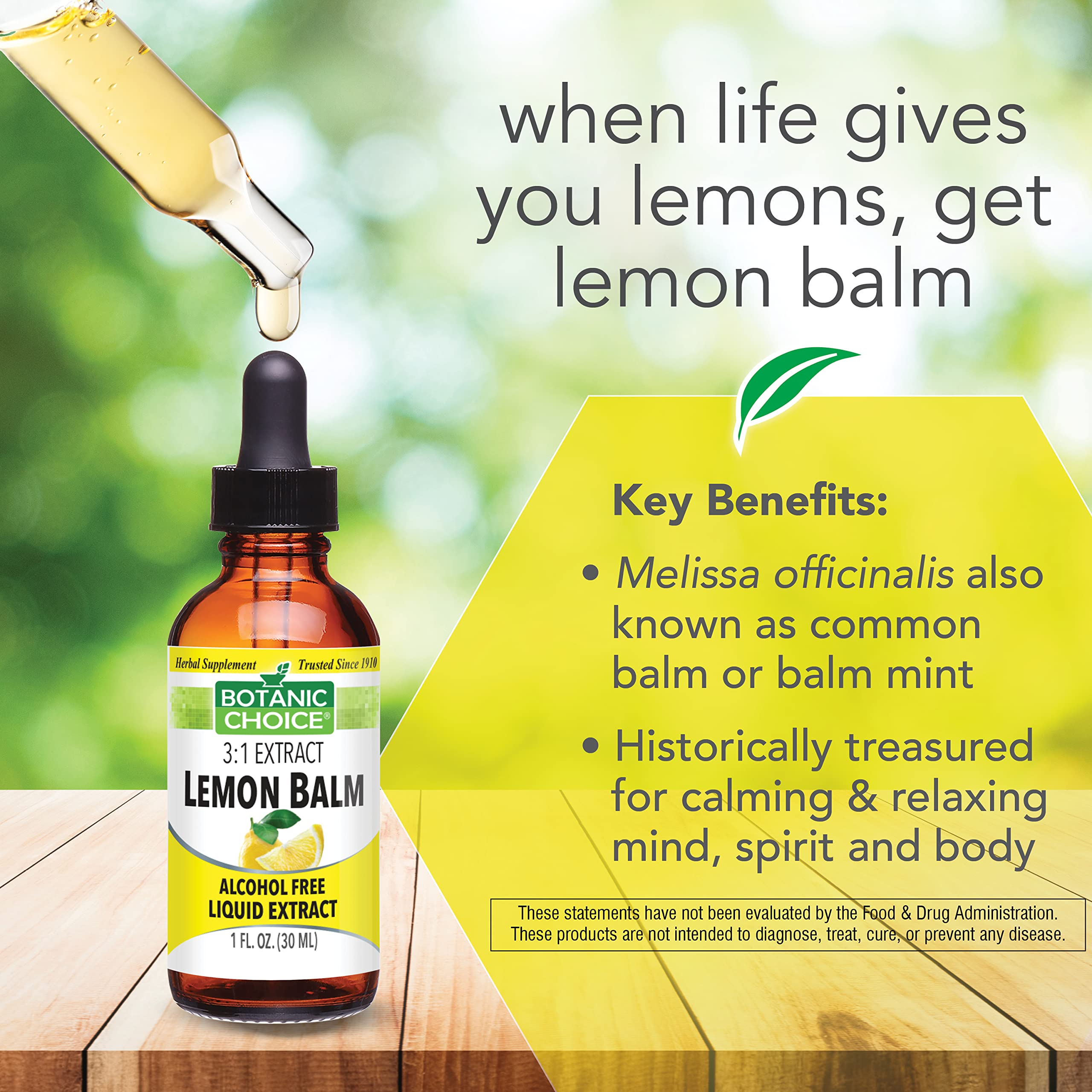Botanic Choice Mega Fruits and Veggies Blend (60 Capsules) + Lemon Balm Tincture (1 fl oz) Bundle - Energy Balance & Superfood Supplement + Relaxation and Sleep Support Botanic Choice uk supplements