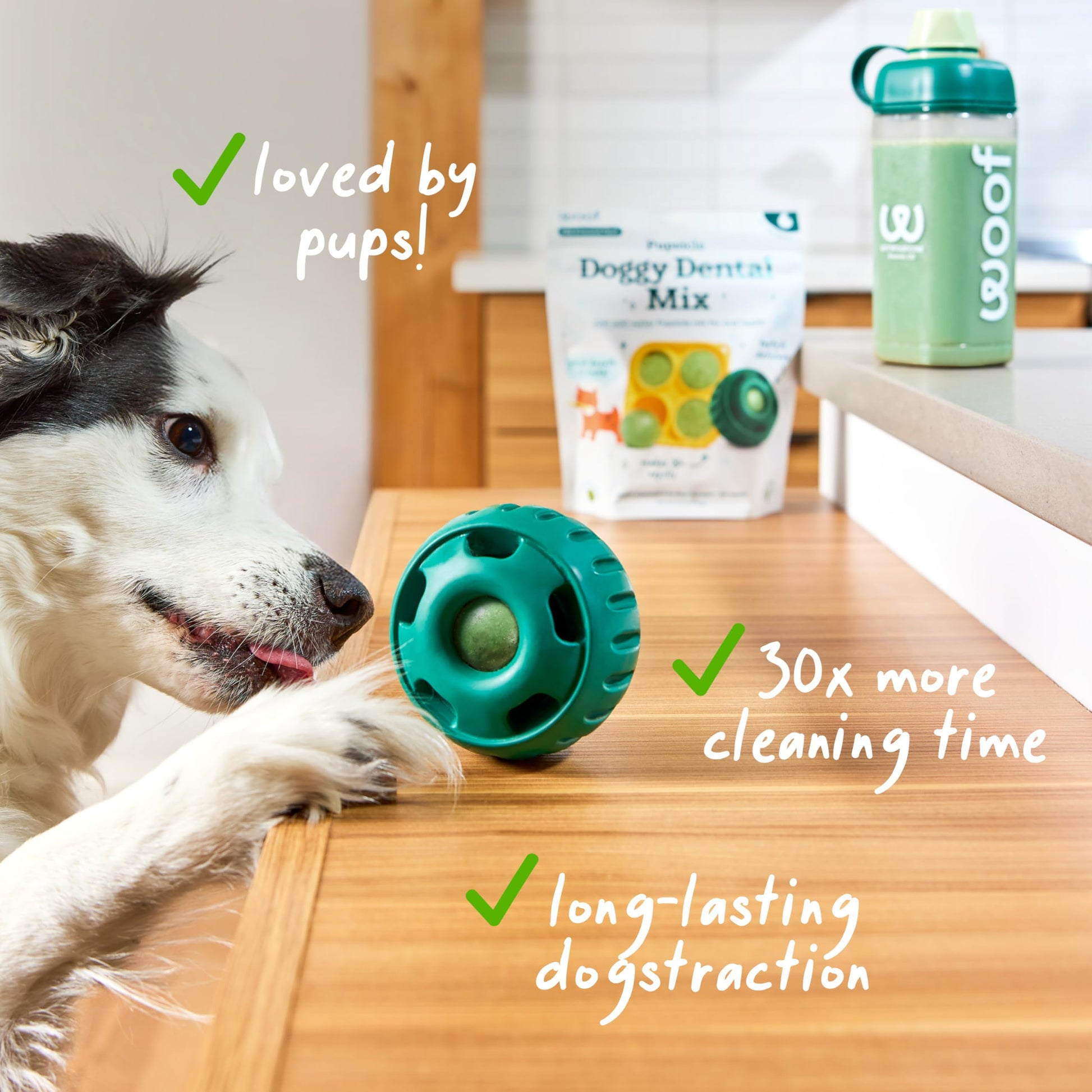 Woof Doggy Dental Pupsicle Mix - Dog Teeth Cleaning Powder for The Pupsicle - Long Lasting Postbiotic Dental Enzyme Mix to Support Oral Health for Dogs WOOF uk supplements