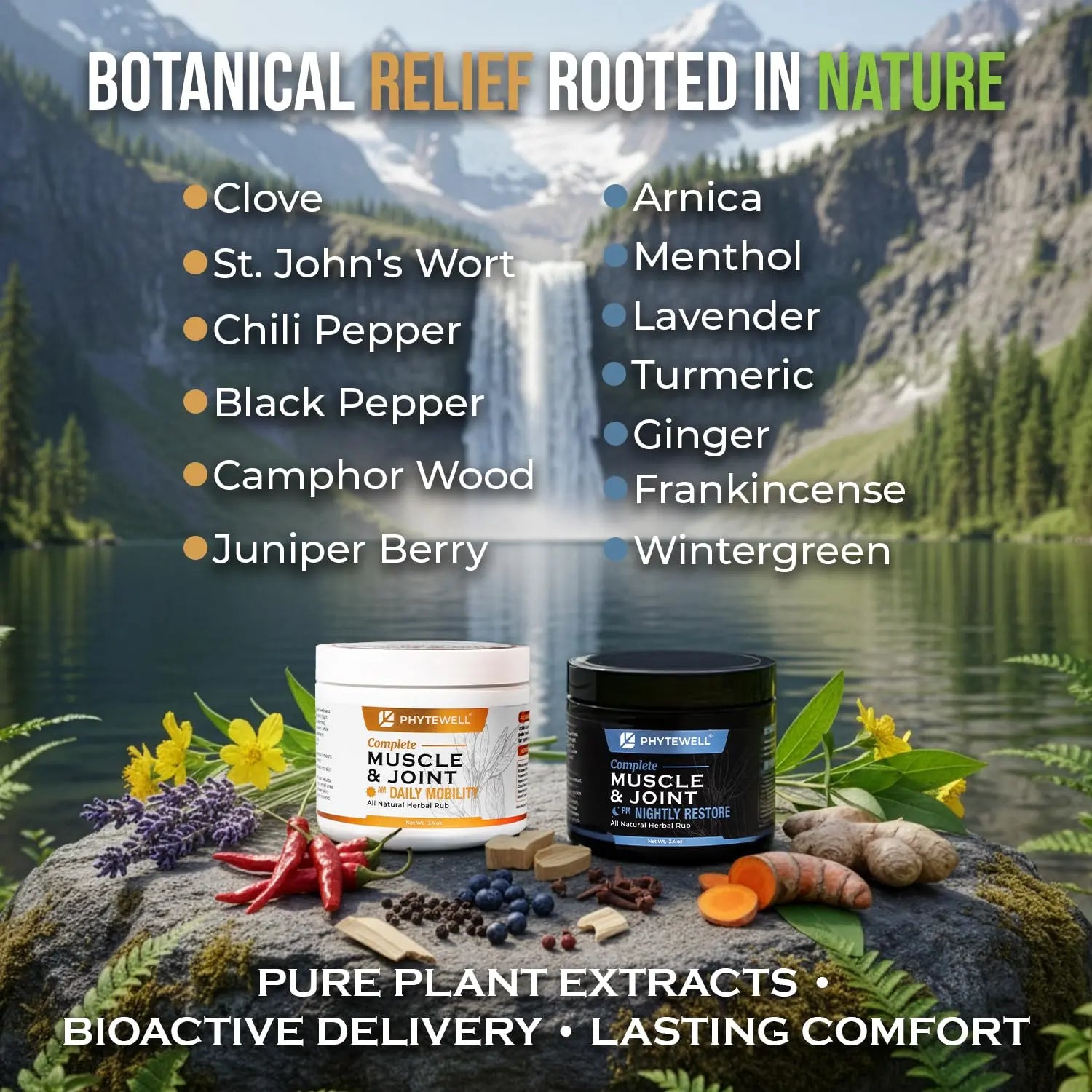 PHYTEWELL Muscle & Joint Rub Balm - Day & Night Pain Relief for Back, Knee, & Shoulder - Crafted with Arnica, Clove & Black Pepper to Support Recovery & Relaxation – Premium Non-Greasy Texture PHYTEWELL uk supplements