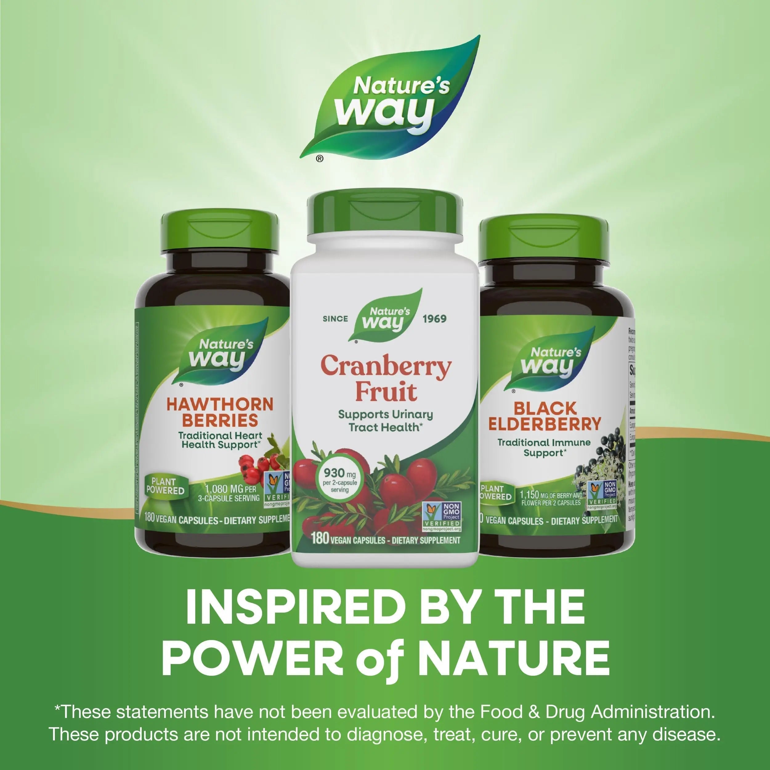 Nature's Way Cranberry Fruit, Cranberry Supplements, Supports Urinary Tract Health*, 930 mg per 2-Capsule Serving, 180 Capsules (Packaging May Vary) Nature's Way uk supplements