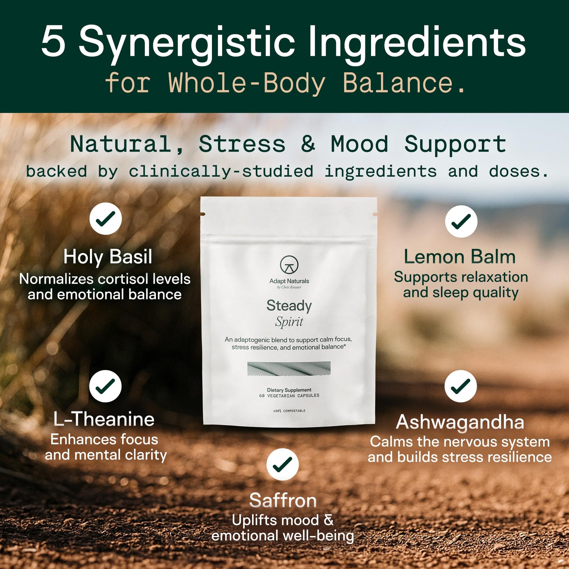 Adapt Naturals Steady Spirit Stress, Anxiety & Mood Support Supplement for Women and Men with Ashwagandha, L-Theanine, Holy Basil, Saffron, and Lemon Balm - Stress Relief Supplement - 30 Day Supply ADAPT NATURALS BY CHRIS KRESSER uk supplements
