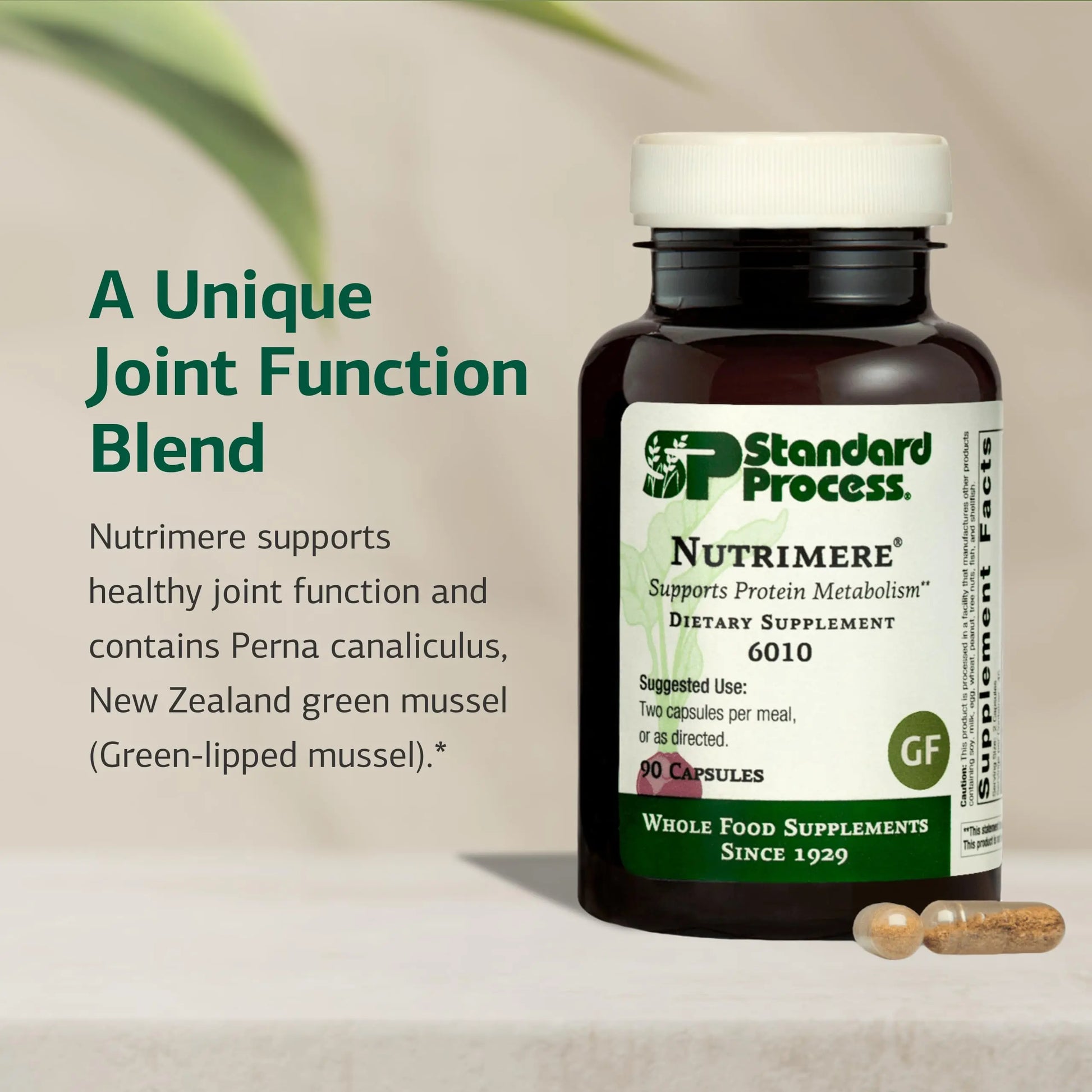 Standard Process Nutrimere - Supports Joint Health - Joint Supplement with Perna Canaliculus & New Zealand Green Mussel - Gluten-Free, Non-Soy & Non-Dairy - 90 Capsules Standard Process Inc. uk supplements