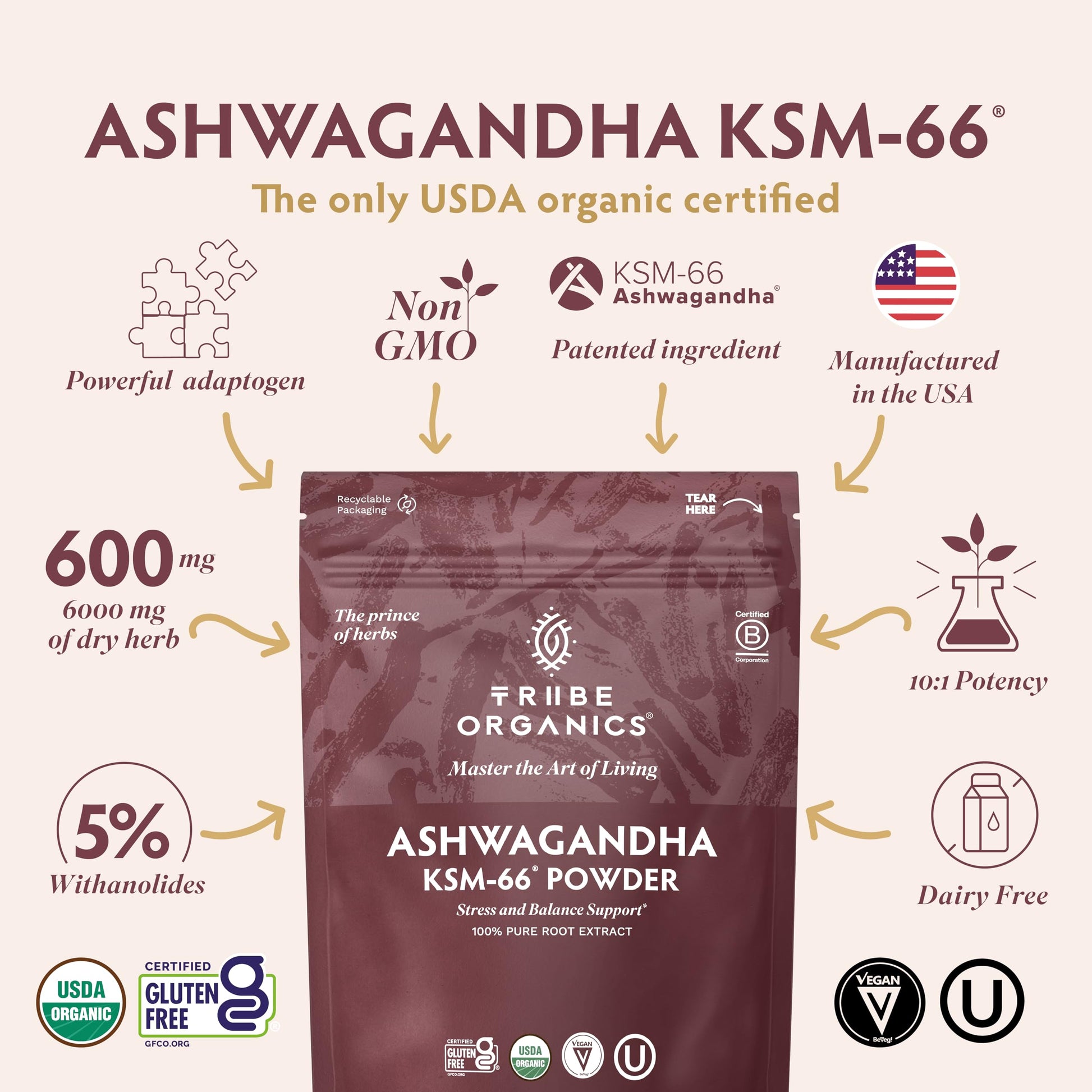 TRIBE ORGANICS KSM-66 Ashwagandha Root Extract Powder Ayurvedic Herb for Mood Support | Increase Energy | Strength - Organic | Natural | Gluten Free | Non GMO | Full-Spectrum - 100g Pouch TRIBE ORGANICS uk supplements