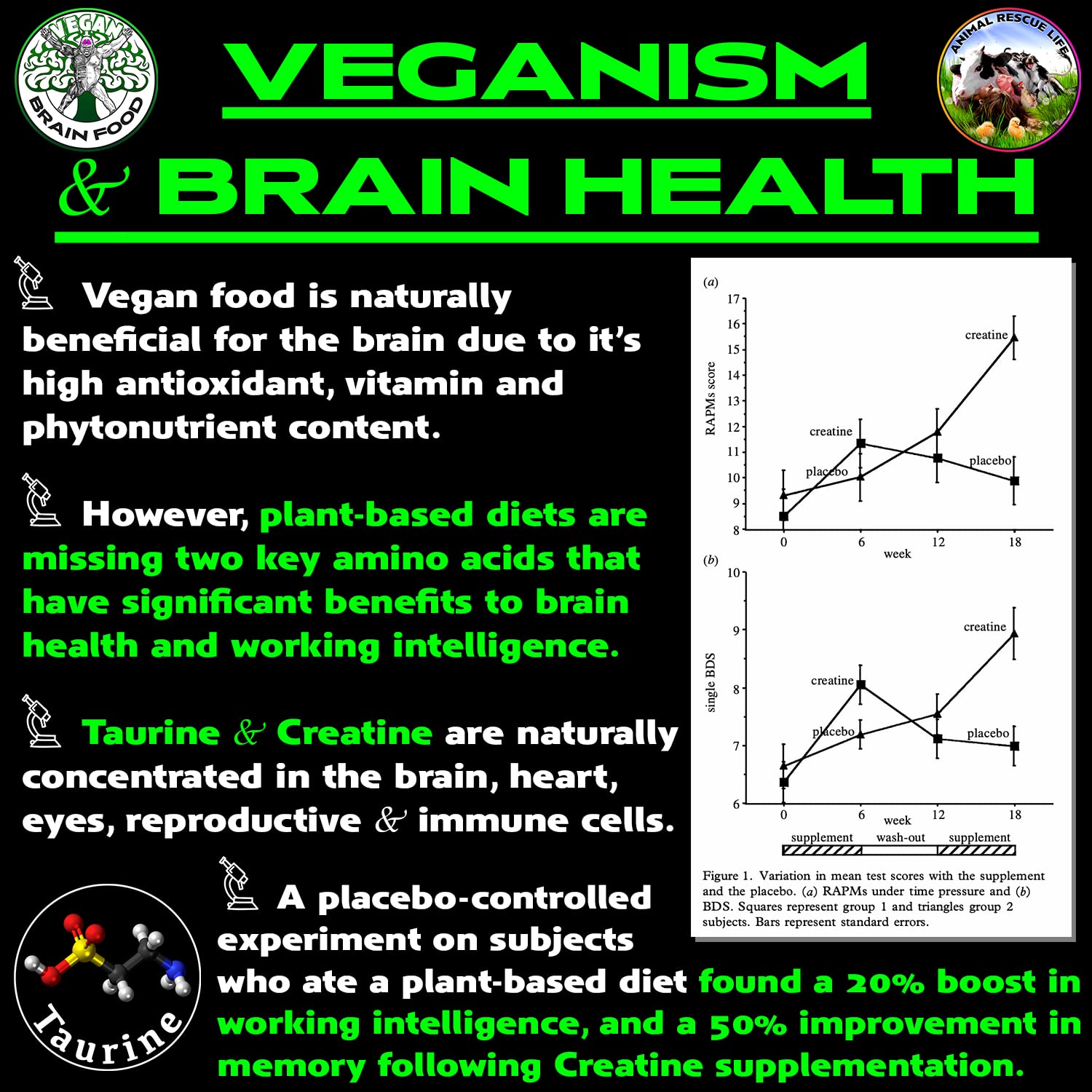 Vegan Brain & Body Boost: The Cherry On Top of A Plant-Based Lifestyle | Working Intelligence | Anti-Aging | Physical Fitness | Vegan Amino Acids - Creatine, Taurine & Beta Alanine | 40 Servings/300g Vegan Brain Food uk supplements