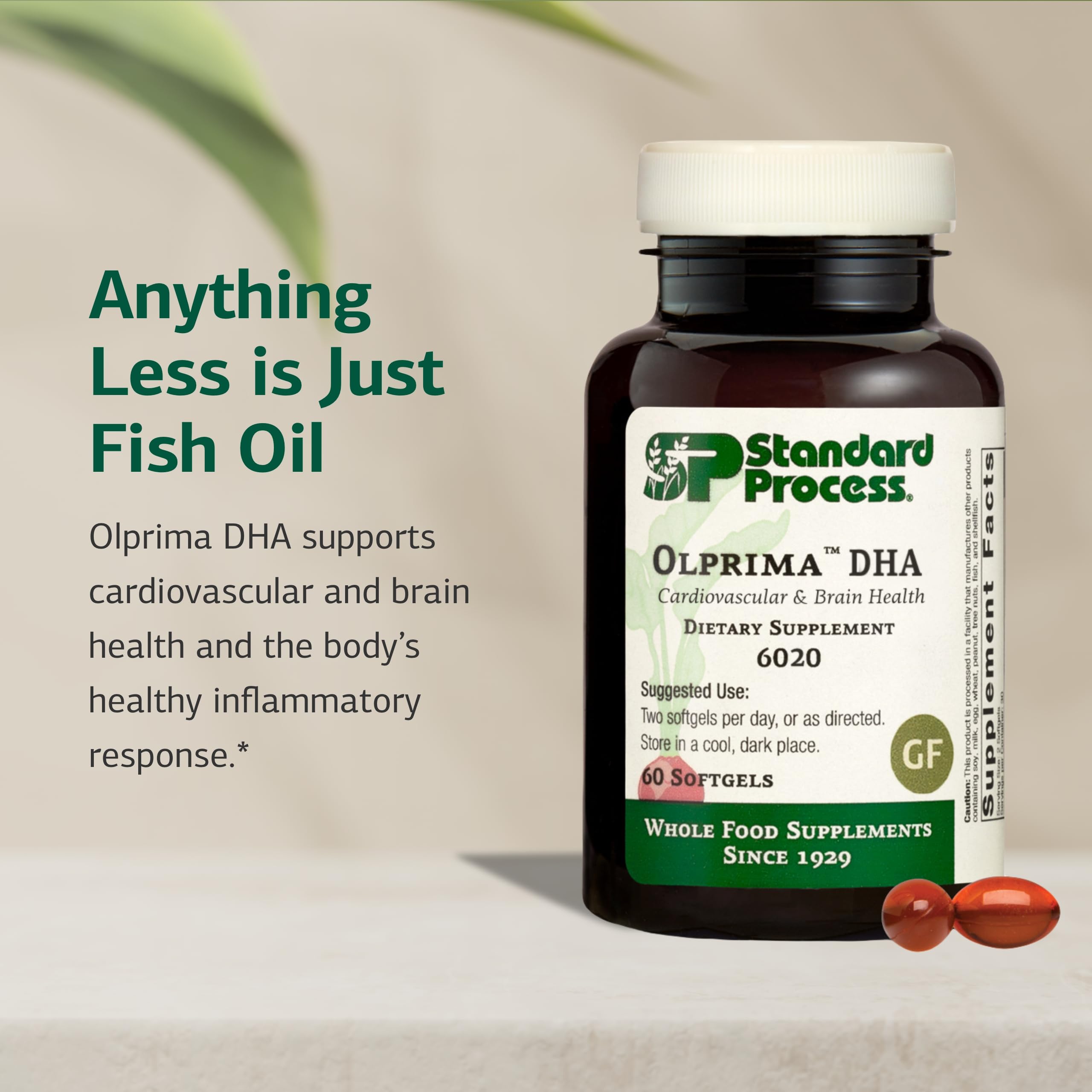 Standard Process Olprima DHA - Omega-3 Supplement for Heart & Brain Health - Gluten-Free, Non-Dairy & Non-Soy - 60 Softgels (30 Servings) Standard Process Inc. uk supplements