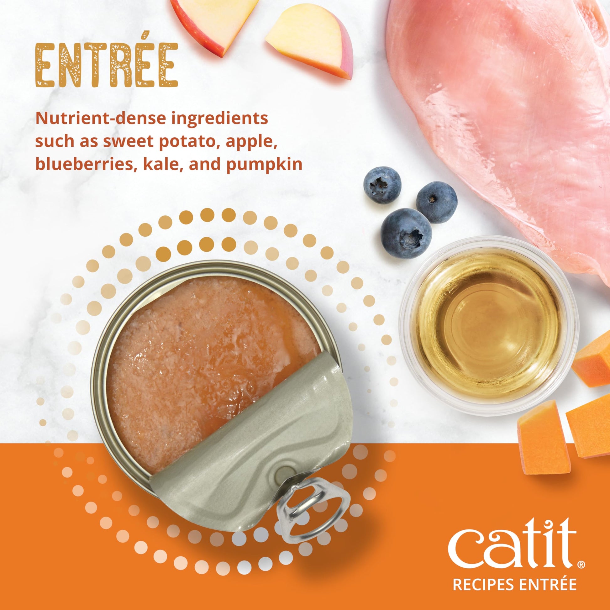Catit Recipes Adult Chicken Entrée – High-Protein Wet Cat Food with Bone Broth Hydration, Prebiotics & Postbiotics for Gut Health, Omega-3 for Skin & Coat, and Taurine for Heart Support 3oz (12/cs) Catit uk supplements