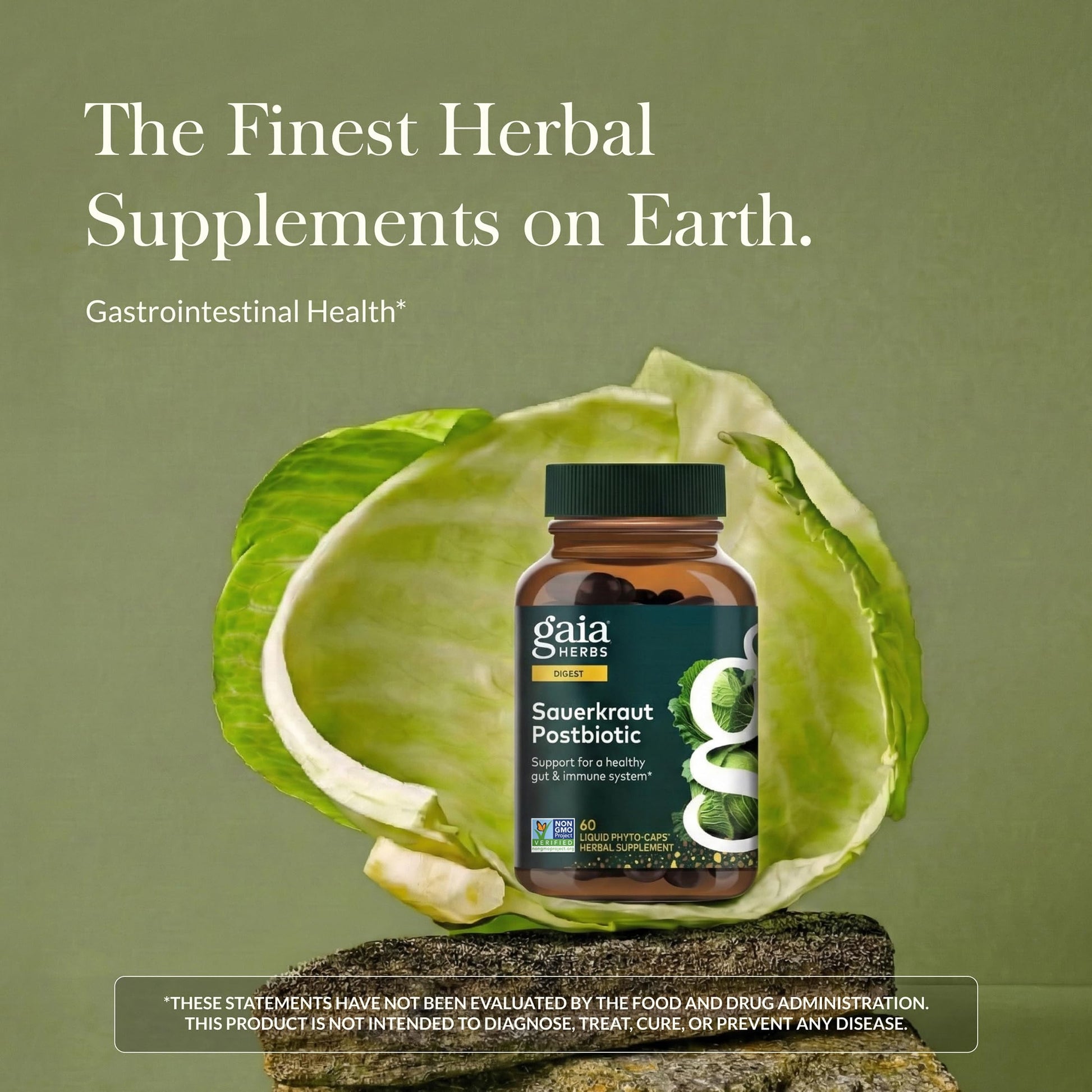 Gaia Herbs Sauerkraut Postbiotic - Gut Health & Immune Support Supplement* - Made with Fermented Sauerkraut - Free from Dairy, Soy & Gluten - 60 Vegan Liquid Phyto-Caps (30 Servings) Gaia Herbs uk supplements