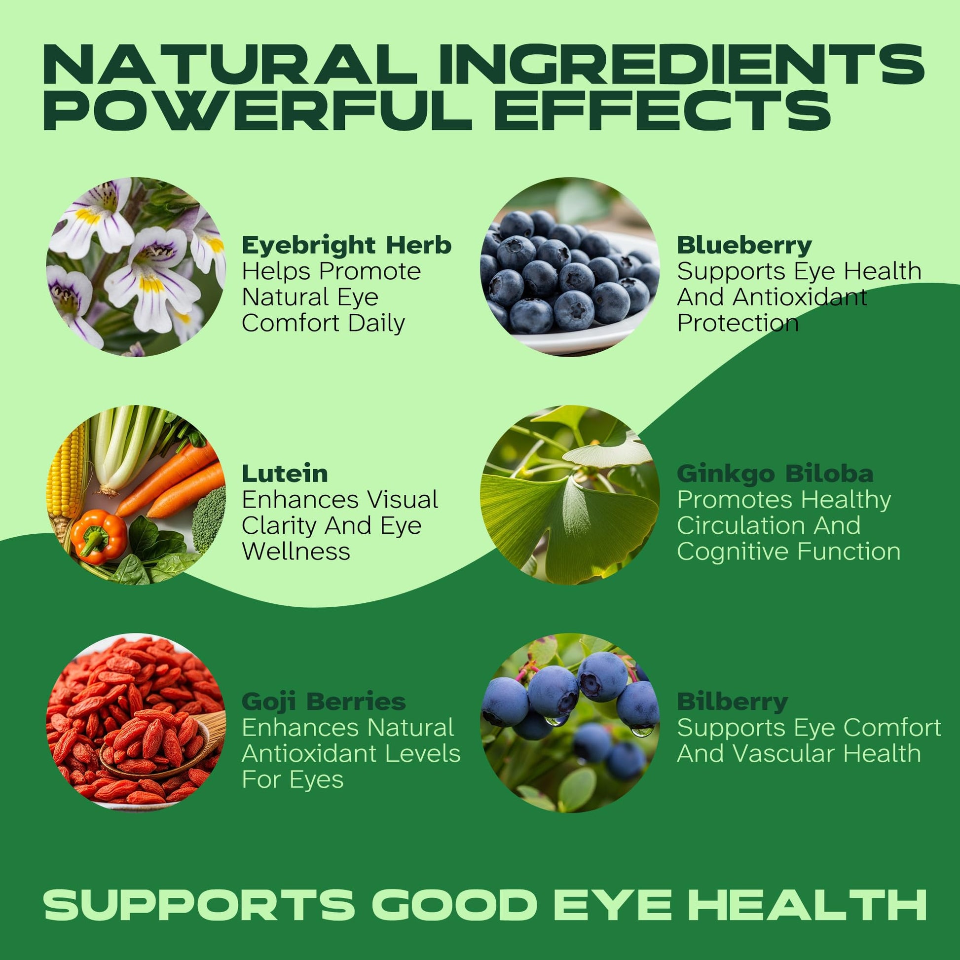 Vitalumina Eyebright Herbal Liquid with Organic Euphrasia, Lutein, Bilberry, Blueberry & Goji – Plant-Based Vegan Supplement for Adults – 4 fl oz Vitalumina uk supplements