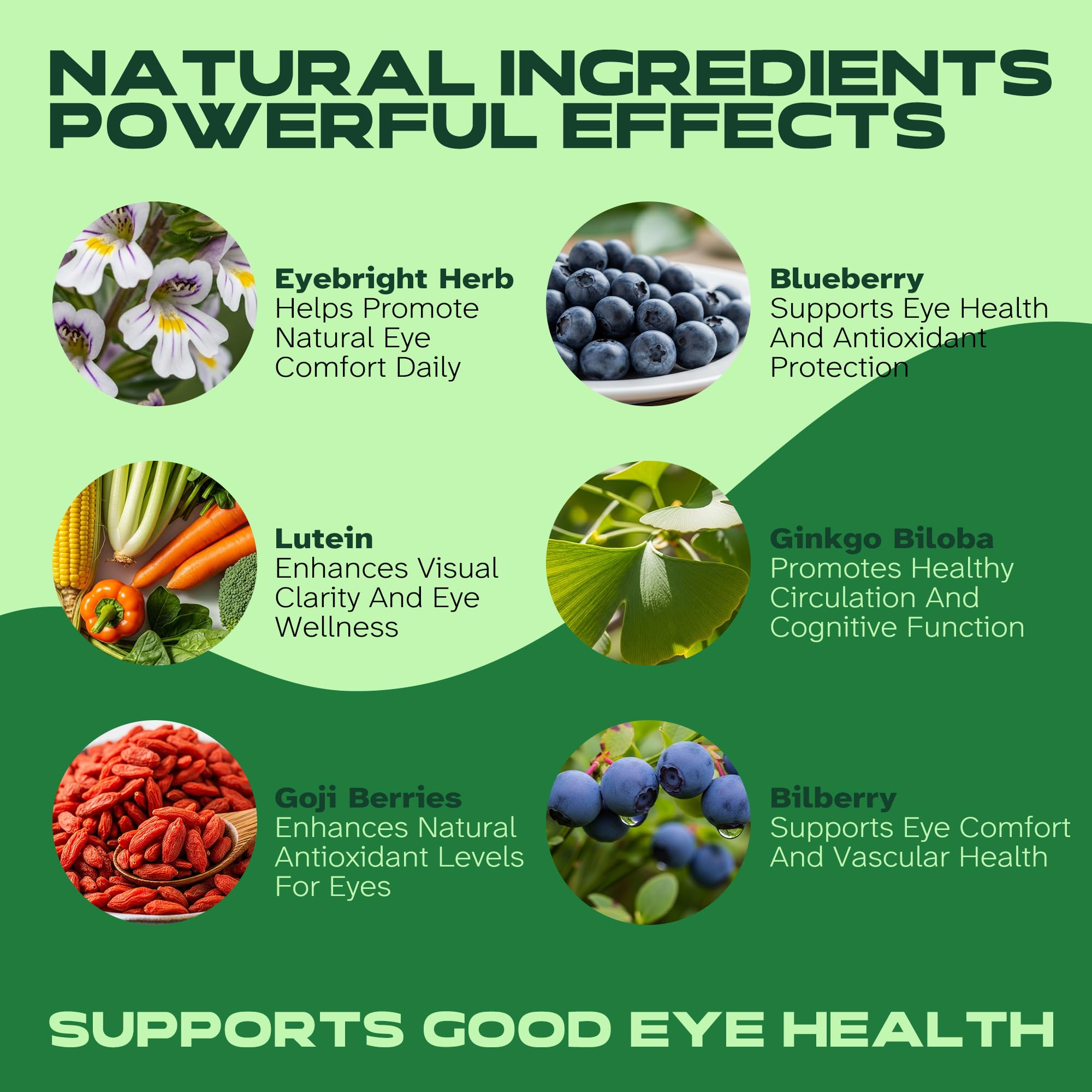 Vitalumina Eyebright Herbal Liquid with Organic Euphrasia, Lutein, Bilberry, Blueberry & Goji – Plant-Based Vegan Supplement for Adults – 4 fl oz Vitalumina uk supplements