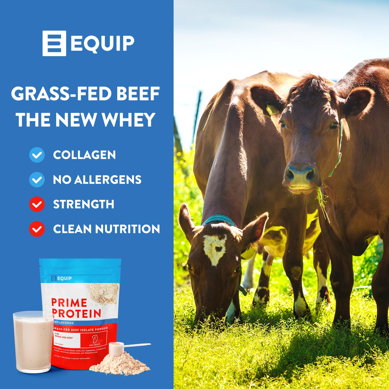 Equip Foods Prime Protein - Grass Fed Beef Protein Powder Isolate - Paleo and Keto Friendl Equip uk supplements