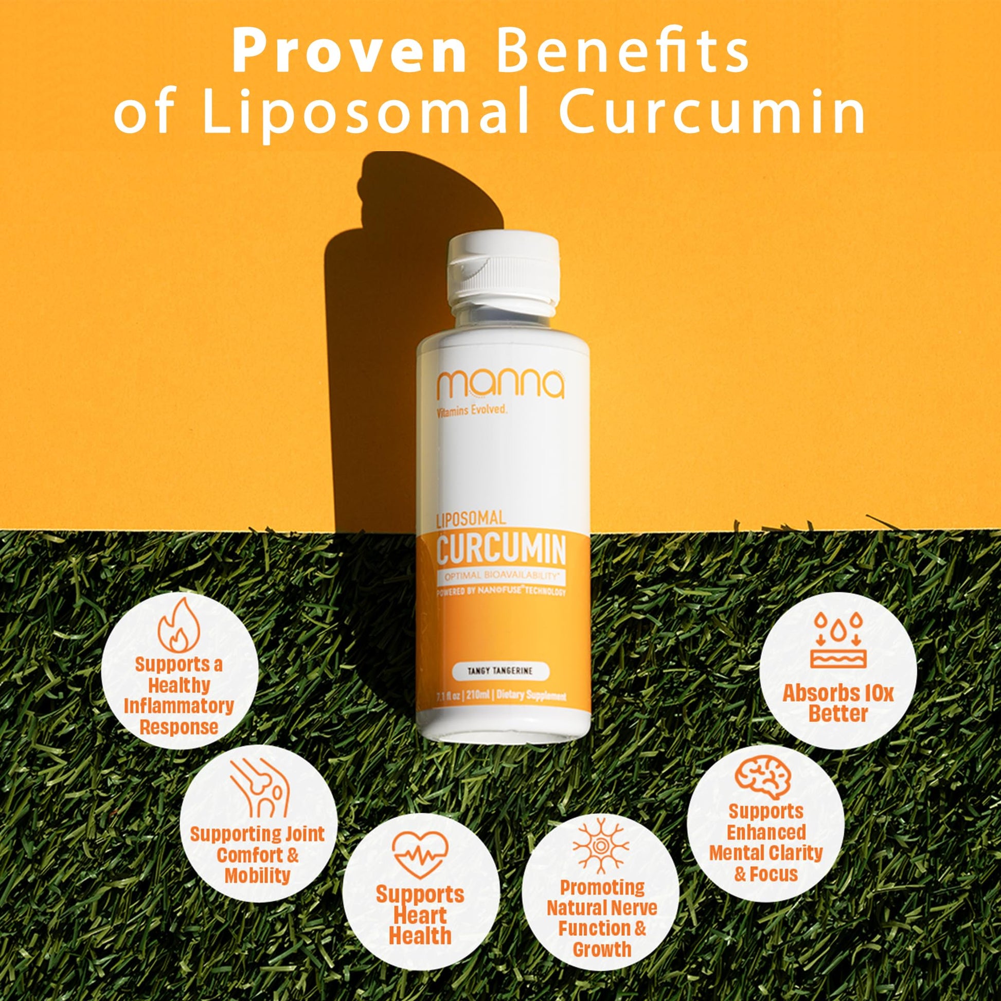 Manna Vitamins Evolved Liposomal Liquid Curcumin for Advanced Absorption Best Turmeric Supplement for Daily Joint & Immune Health Support - Vegan, Non-GMO, 95% Curcuminoids (1 Pack) Manna Vitamins Evolved uk supplements