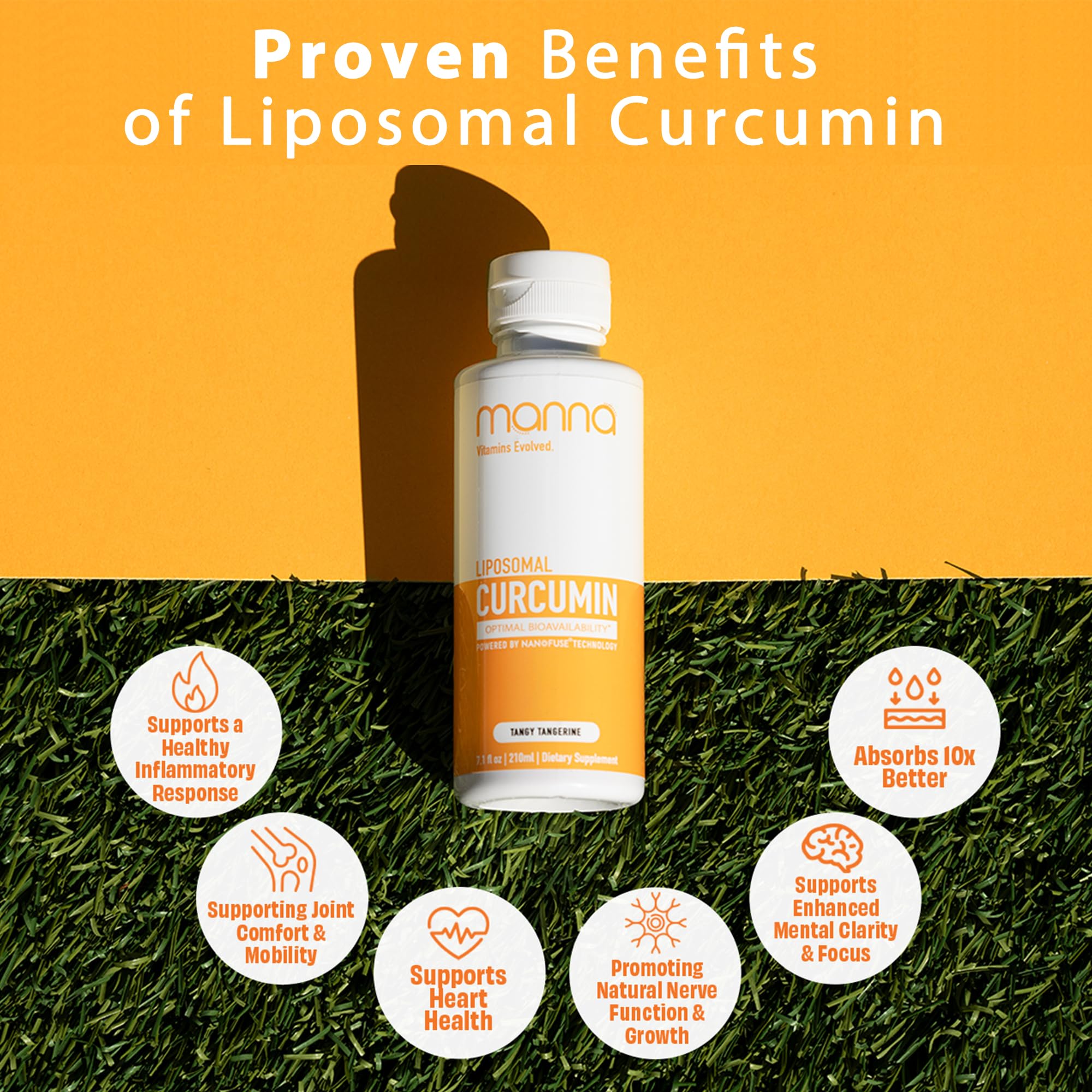 Manna Vitamins Evolved Liposomal Liquid Curcumin for Advanced Absorption Best Turmeric Supplement for Daily Joint & Immune Health Support - Vegan, Non-GMO, 95% Curcuminoids (1 Pack) Manna Vitamins Evolved uk supplements