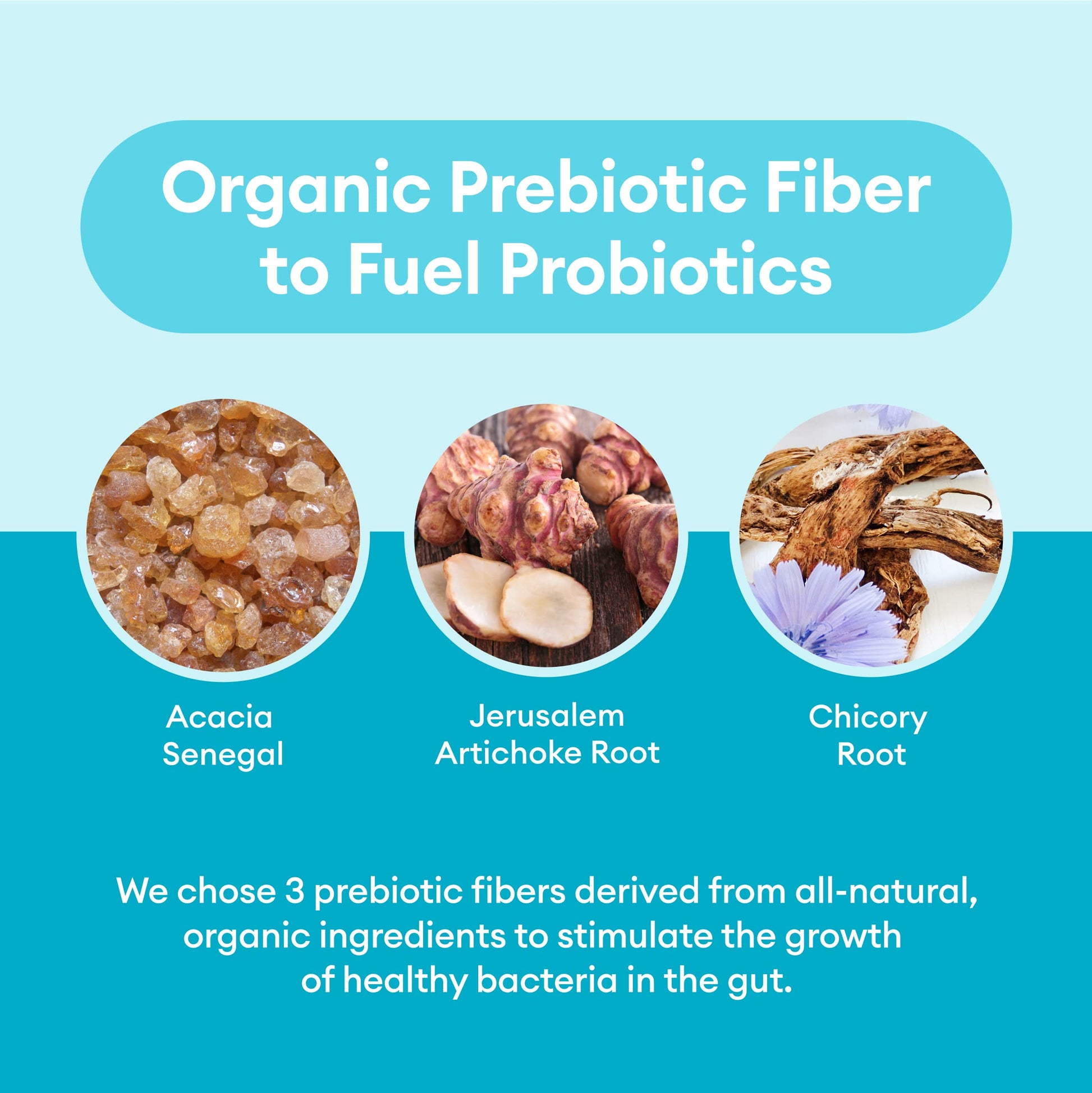 Physician's CHOICE Probiotics 60 Billion CFU - 10 Strains + Organic, 60ct Physician's CHOICE uk supplements