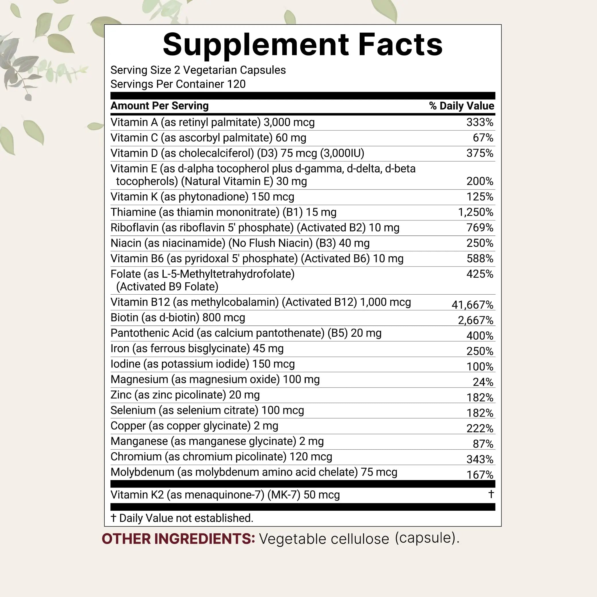 Micro Ingredients Methylated Bariatric Multivitamin with 45mg Iron, 240 Veggie Capsules | 23-in-1 Essential Vitamins with D3, K2, Zinc & More | Micro Ingredients uk supplements